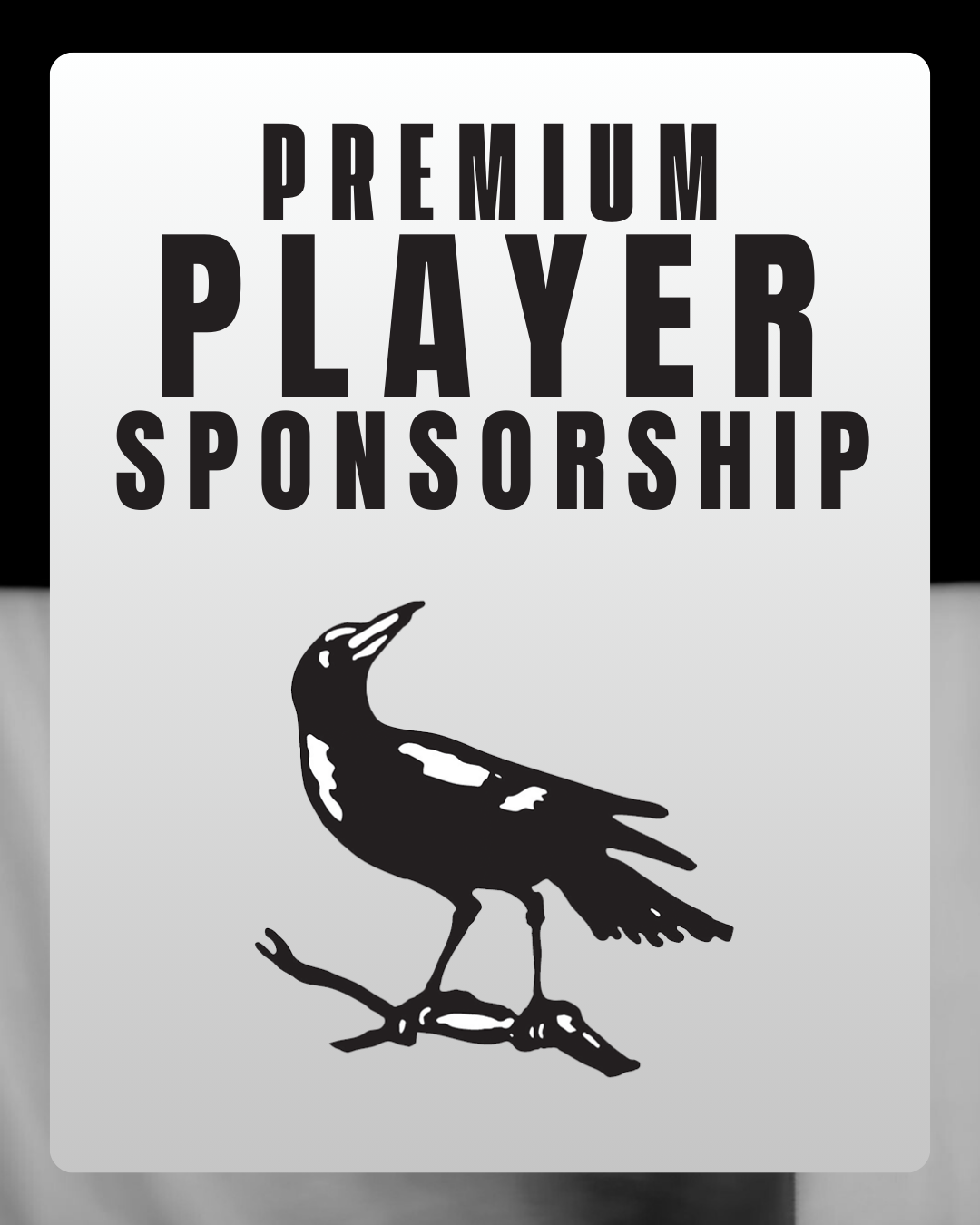 Premium Player Sponsorship