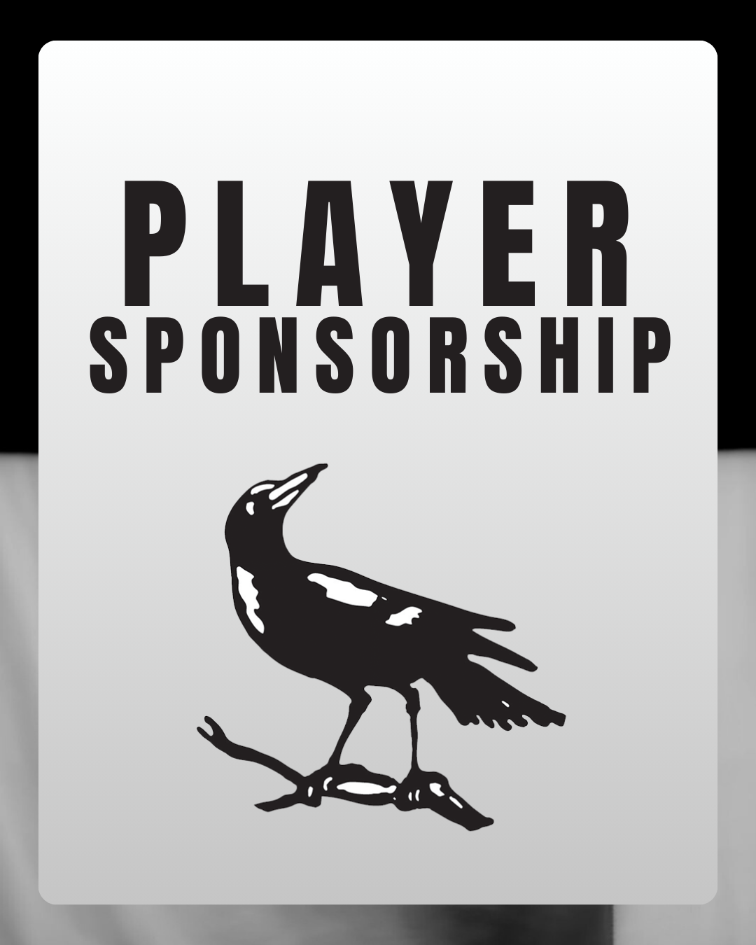 Player Sponsorship
