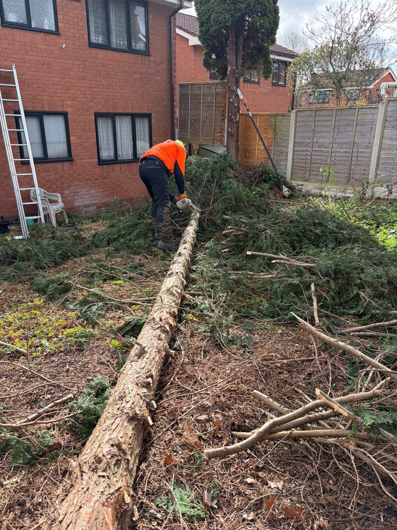 Fir-Tree-removal-in-TelfordPHOTO-2026-03-25-19-42-54 3.jpg