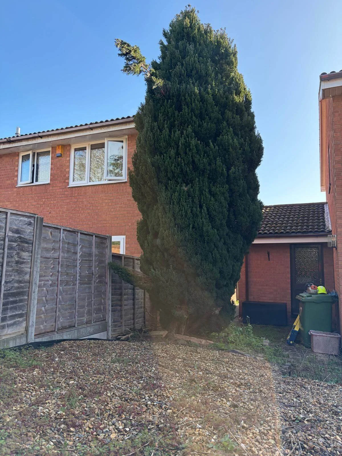 Fir-Tree-removal-in-TelfordPHOTO-2026-03-25-19-46-00 2.jpg