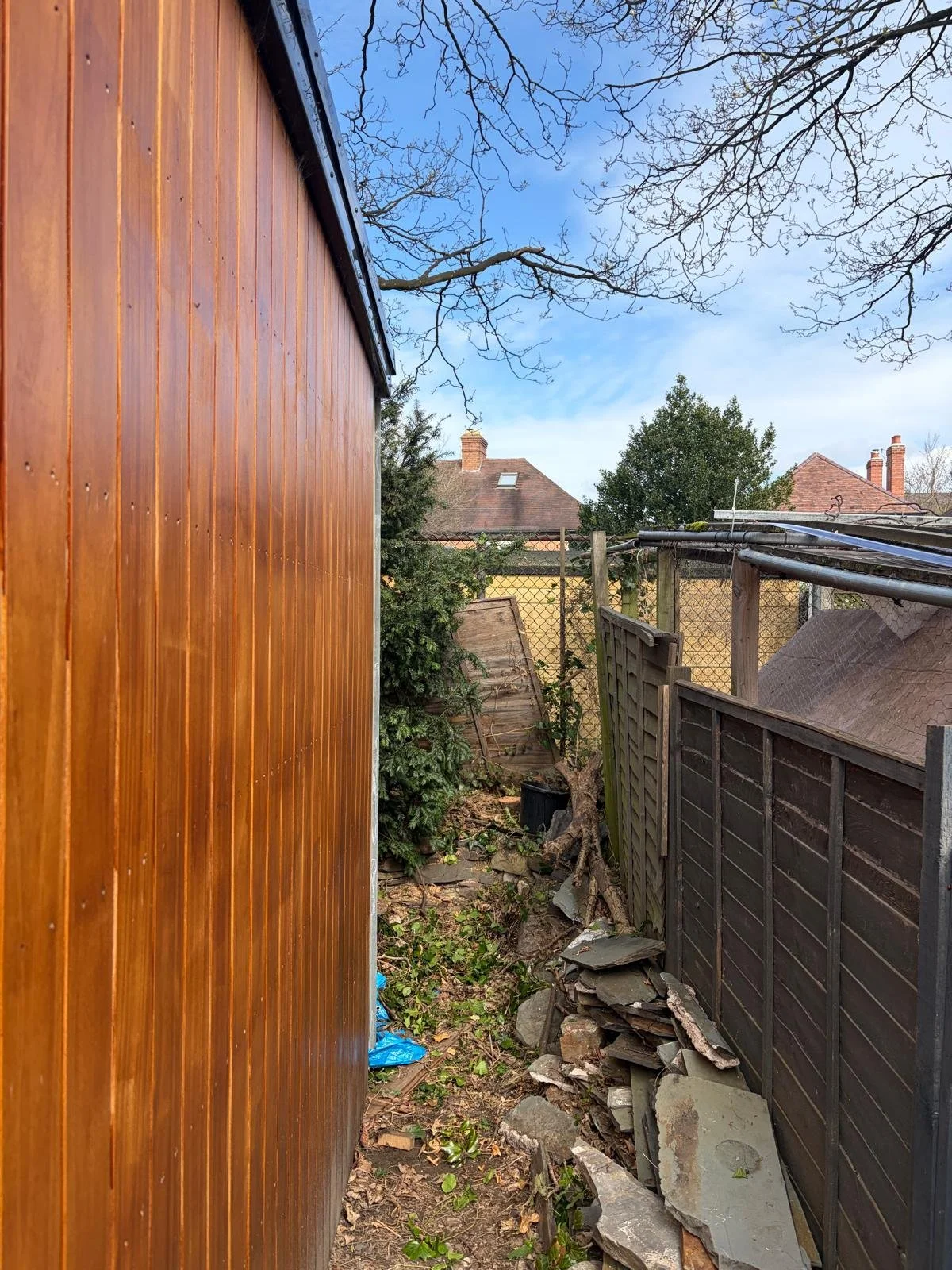 Safe Removal of Dead Ivy Covered Tree in Shrewsbury