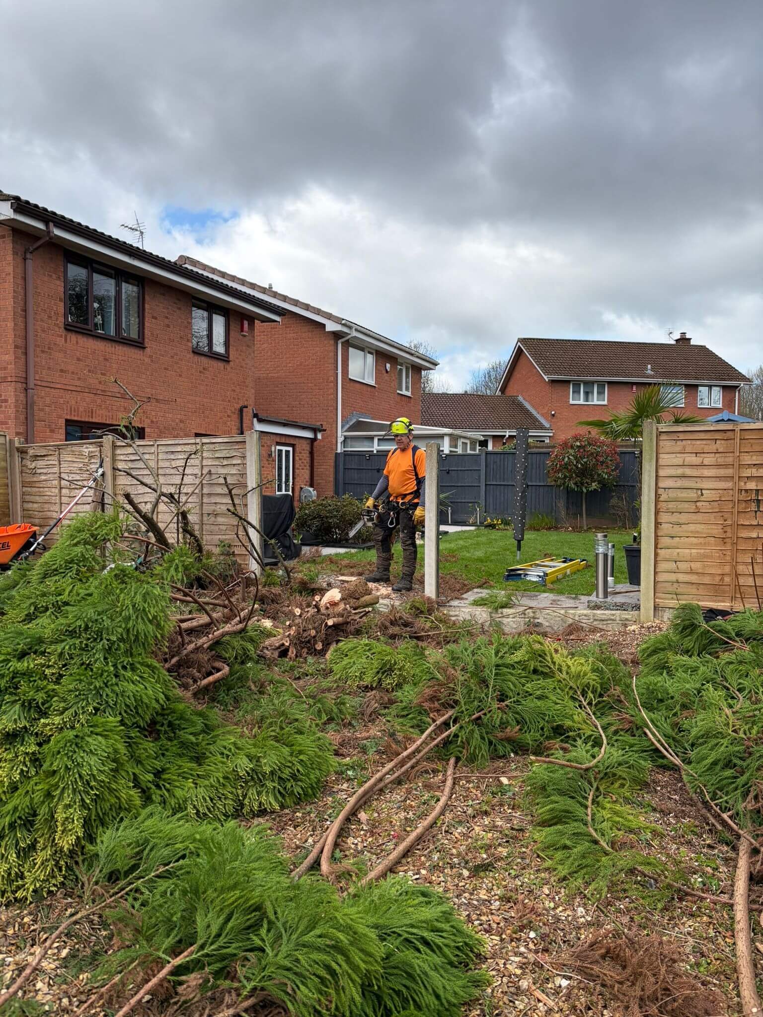 conifer-tree-removal-in-telfordPHOTO-2026-03-26-20-39-37 5.jpg