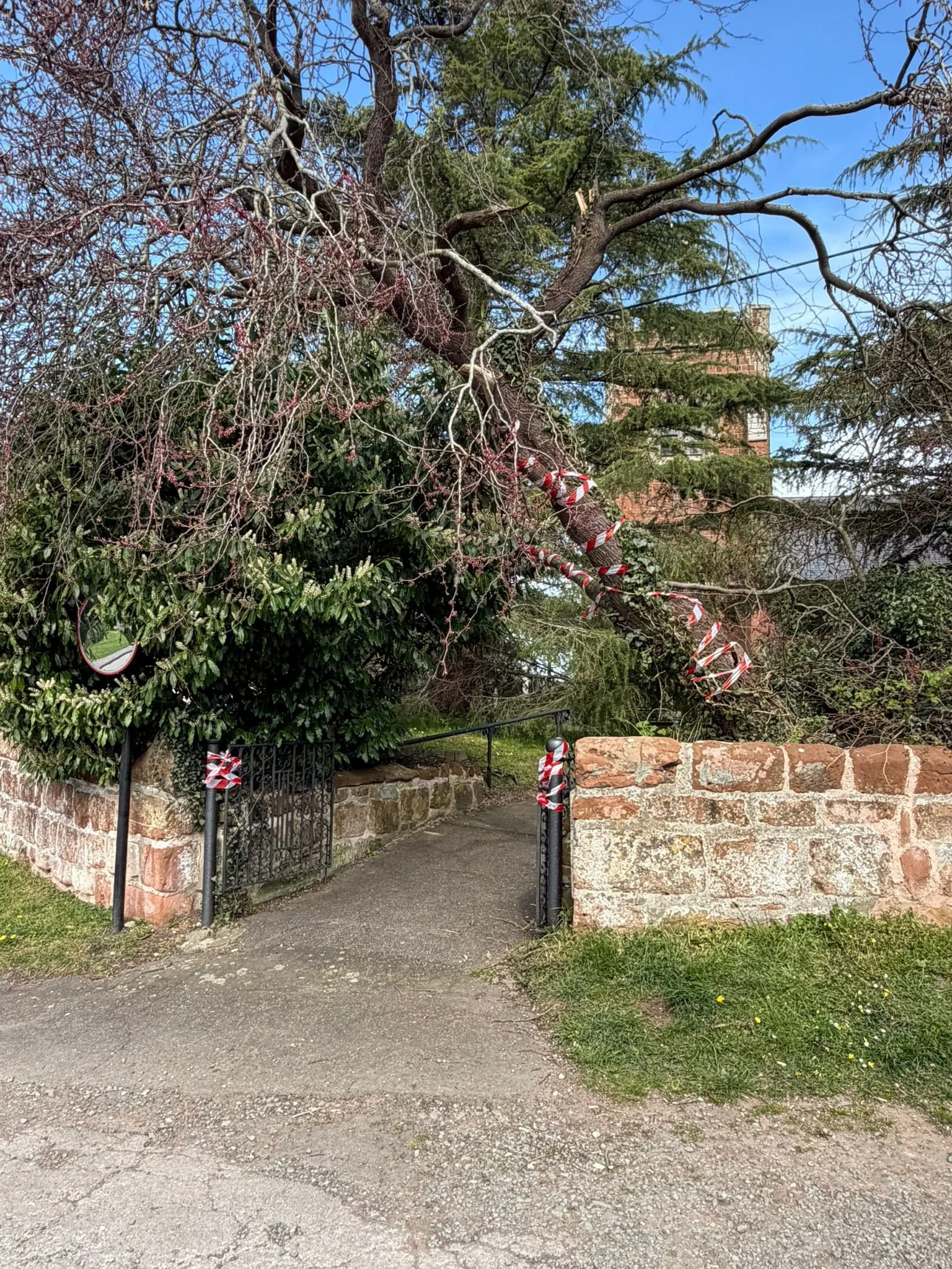 Emergency Tree Removal at Kinnerley Church