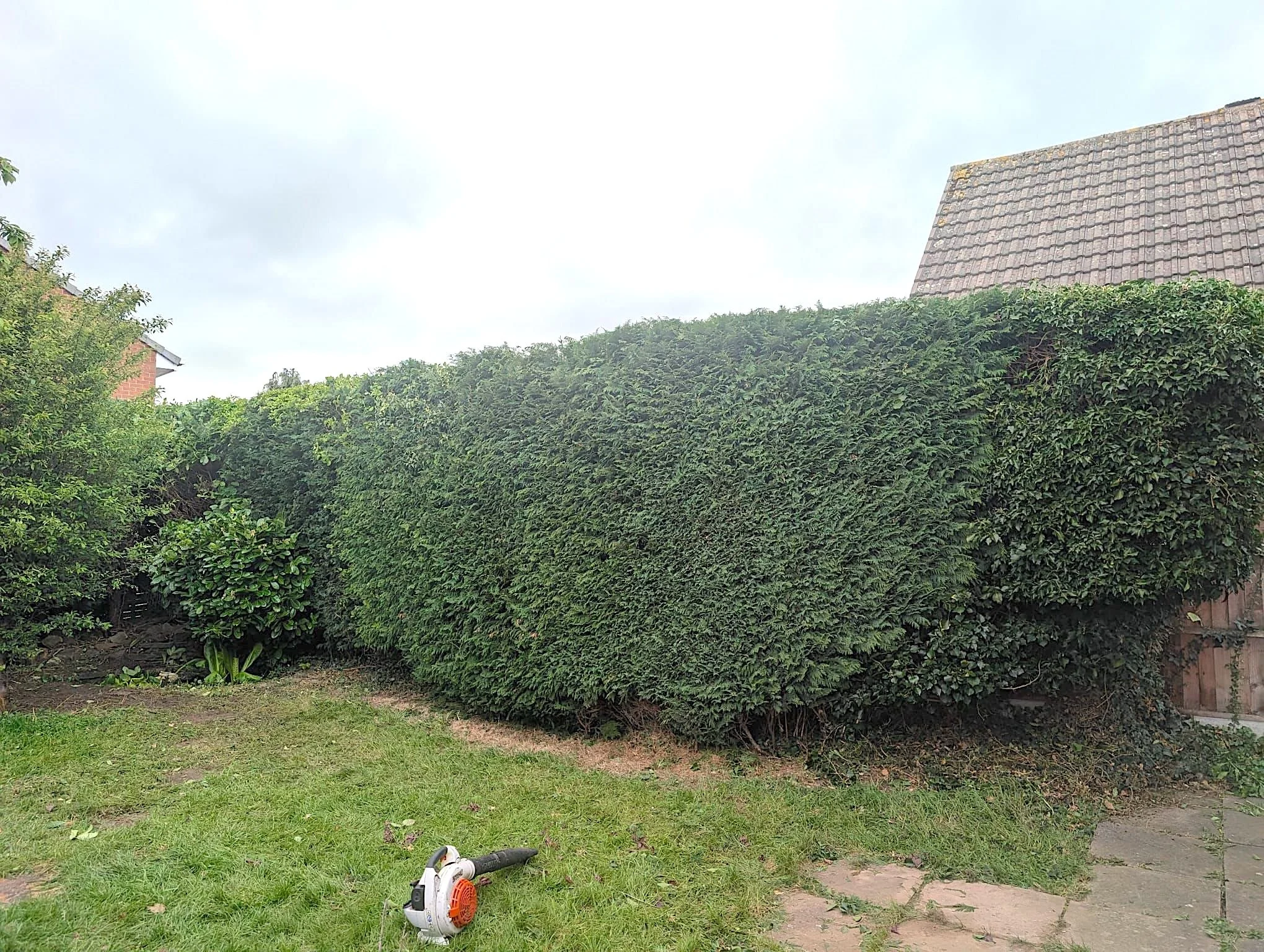 Hedge Transformation in Shrewsbury