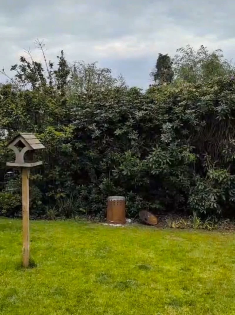overgrown-hedge-trimming-shrewsbury.jpg