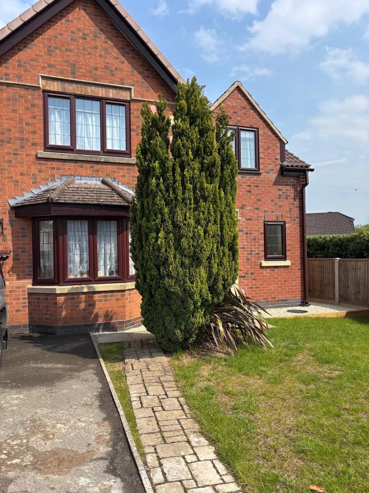 Conifer Tree Removal in Telford Due to Property Damage