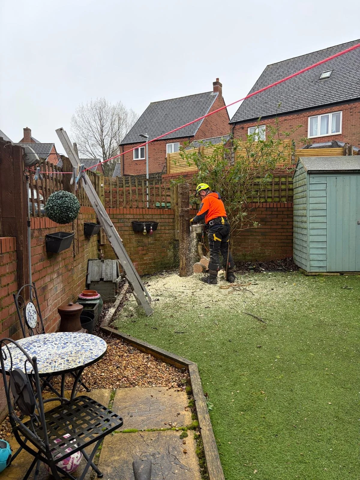 woodpecker-tree-surgeons-in-shropshire-cutting-trees-down-and-pruningdace8fc8-b351-480b-9289-0148b854f8ec.JPG
