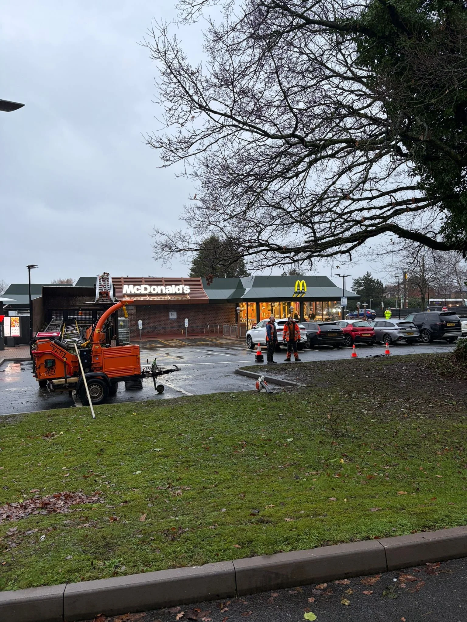 woodpecker-tree-surgeons-in-shropshire-cutting-trees-down-and-pruningPHOTO-2026-03-16-19-39-42 3.jpg