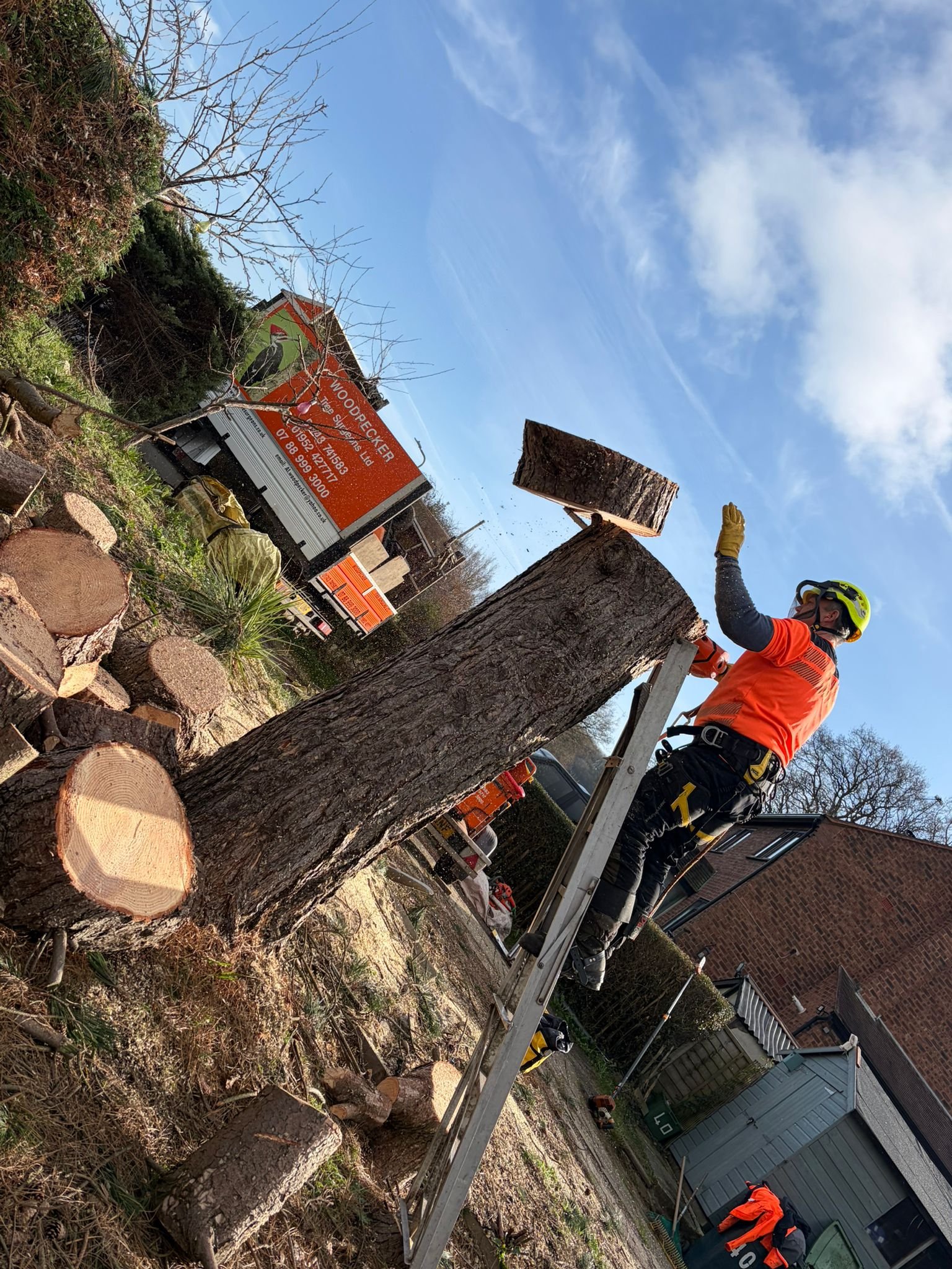 woodpecker-tree-surgeons-in-shropshire-cutting-trees-down-and-pruningPHOTO-2026-03-16-19-36-36 5.jpg