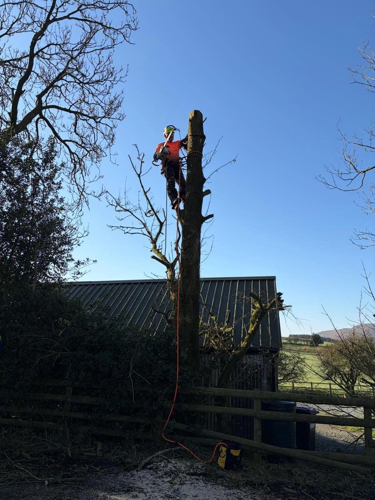 woodpecker-tree-surgeons-in-shropshire-cutting-trees-down-and-pruningPHOTO-2026-03-16-20-32-47 2.jpg