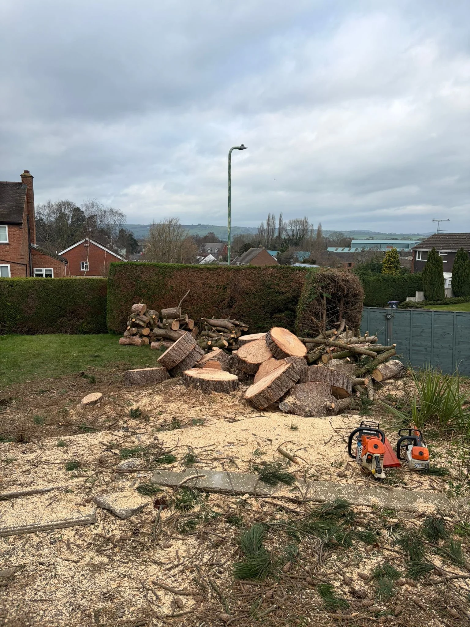 woodpecker-tree-surgeons-in-shropshire-cutting-trees-down-and-pruningPHOTO-2026-03-16-19-36-37 2.jpg