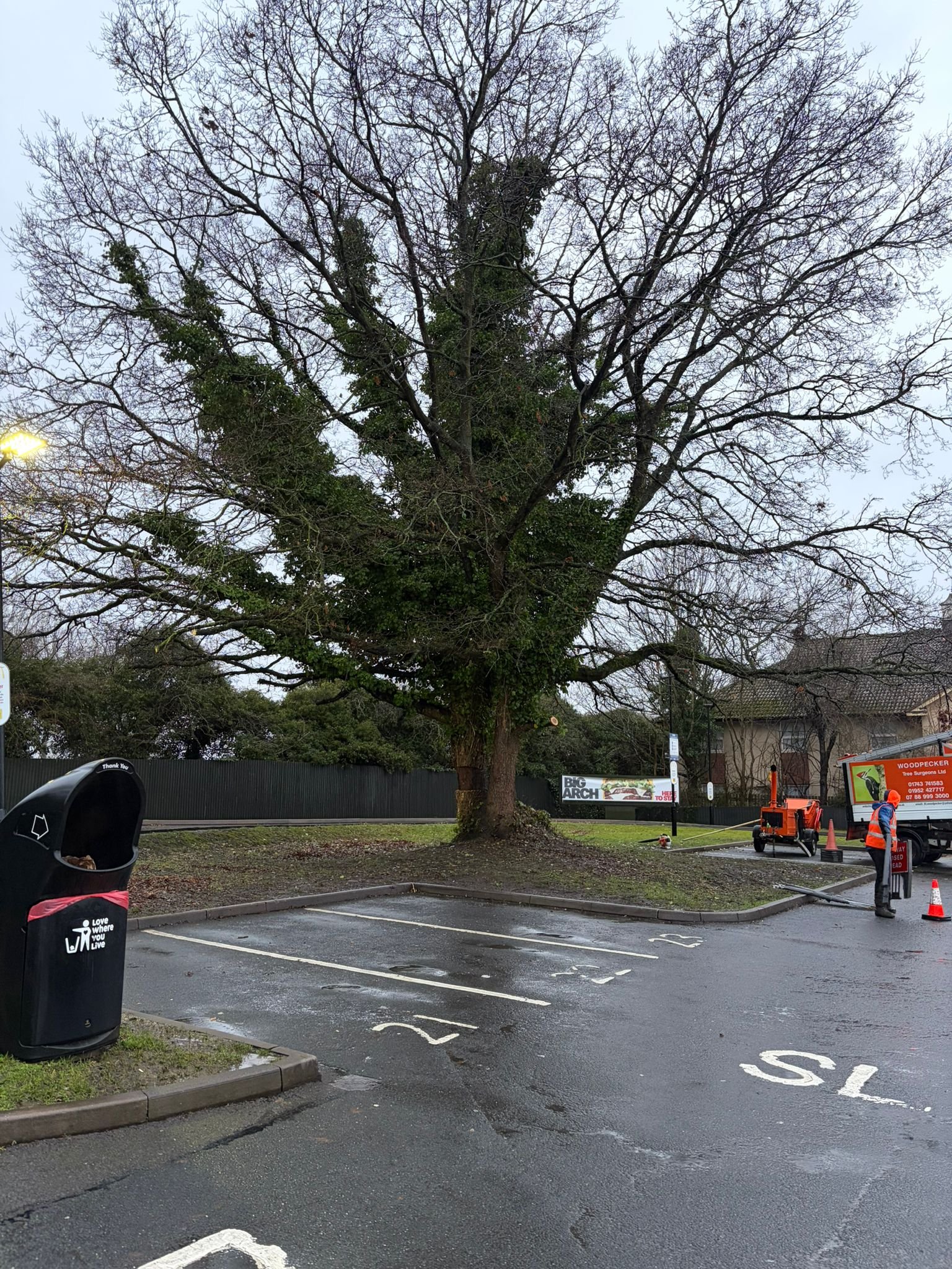 woodpecker-tree-surgeons-in-shropshire-cutting-trees-down-and-pruningPHOTO-2026-03-16-19-39-42 6.jpg