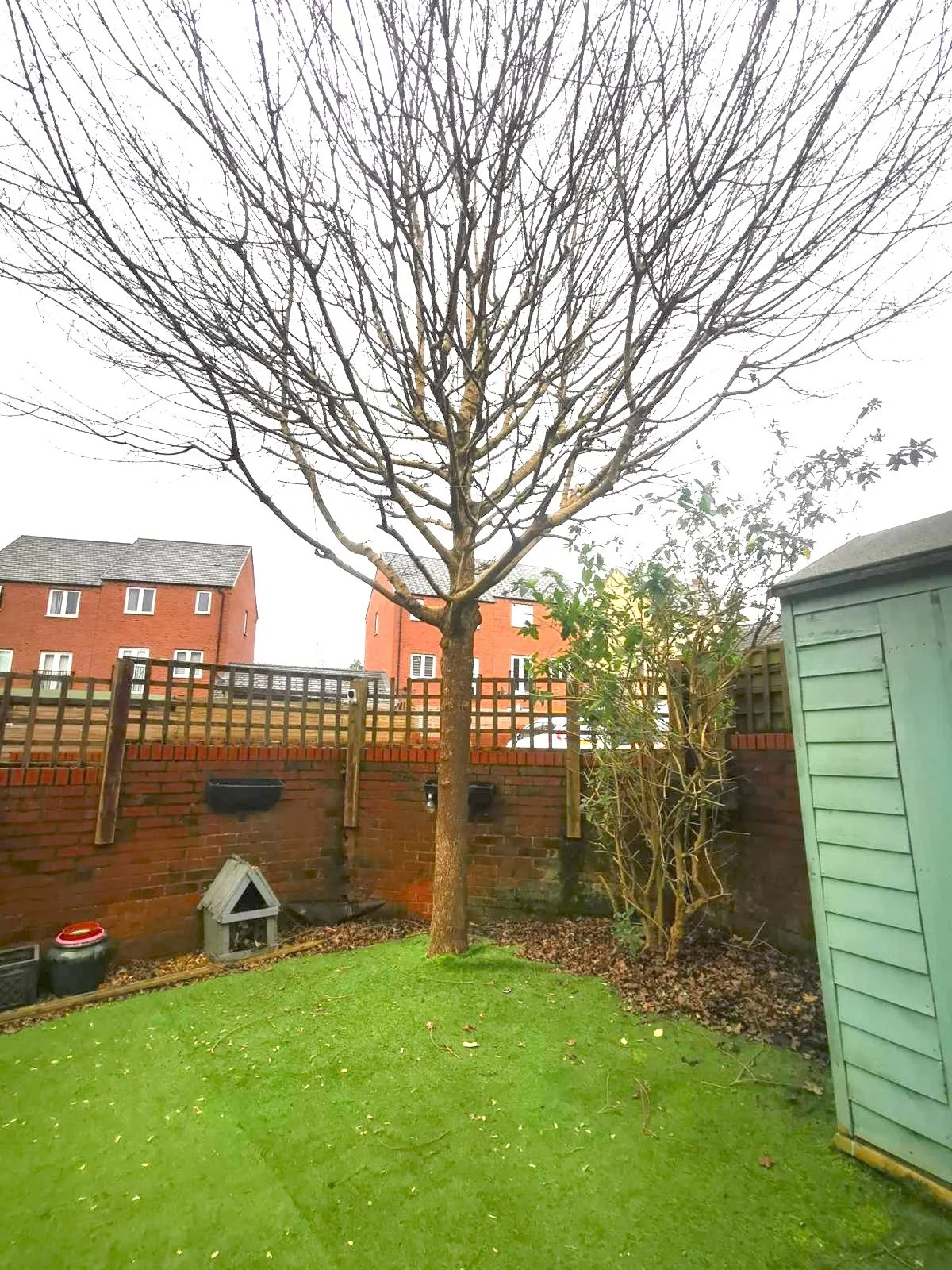 woodpecker-tree-surgeons-in-shropshire-cutting-trees-down-and-pruning12ade436-13cb-4531-a362-63c7310abcba.JPG