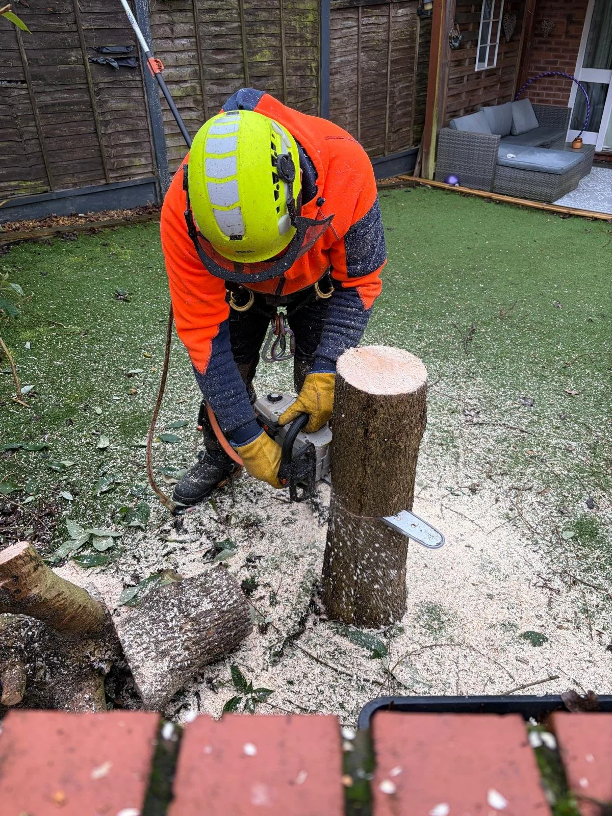 woodpecker-tree-surgeons-in-shropshire-cutting-trees-down-and-pruning20fe6b97-ca03-447c-b076-00a6eadeded2.JPG