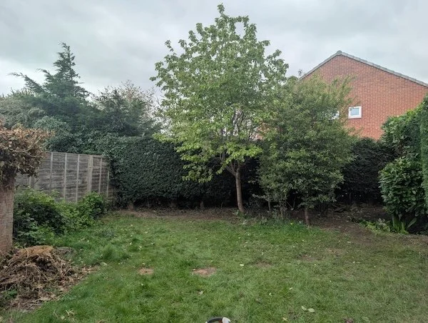 hedge trimmed in Shropshire by Woodpercker Tree Surgeons