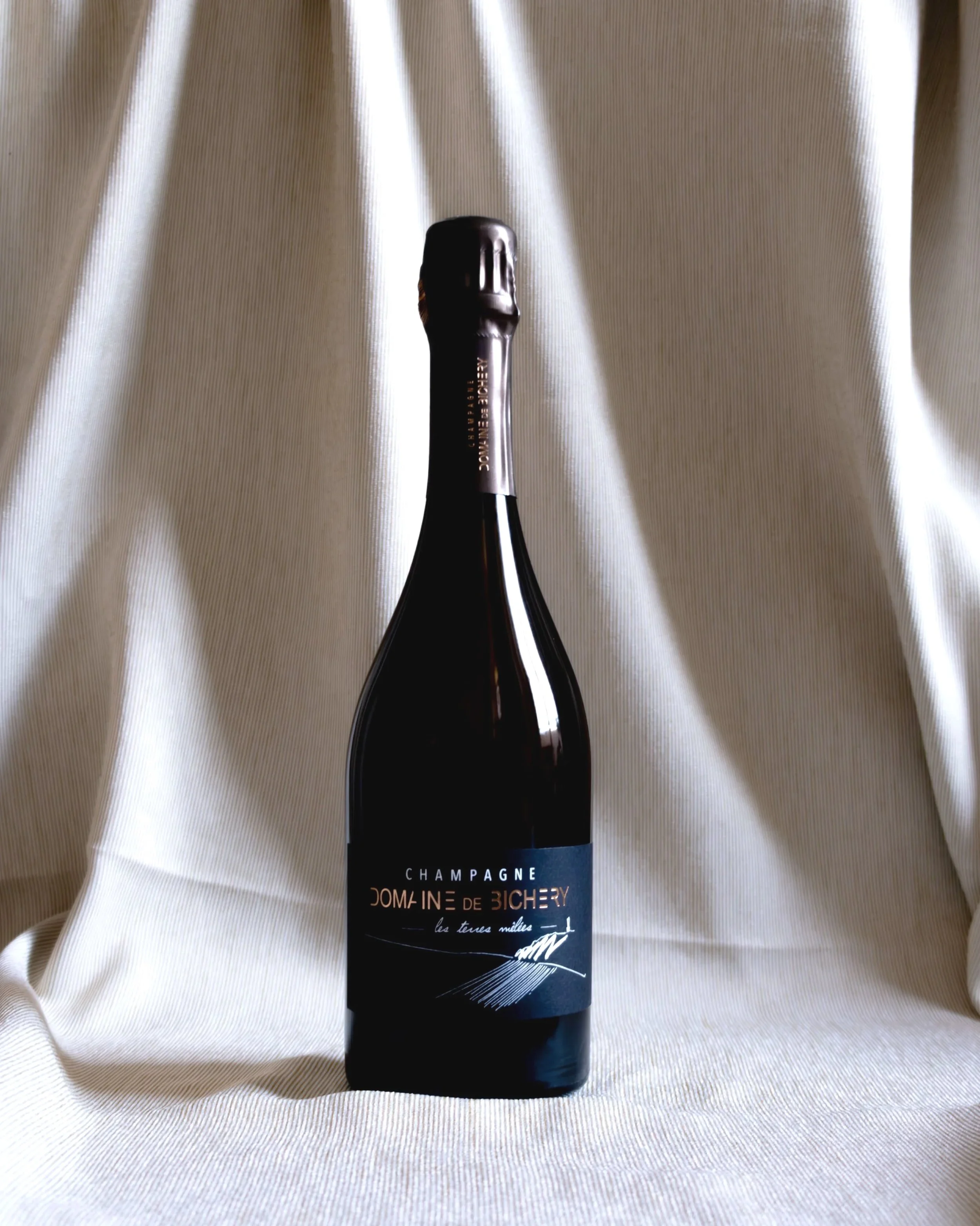 Domaine+de+Bichery+-+Terres+M%C3%AAl%C3%A9es+R22+Brut+Nature.jpg