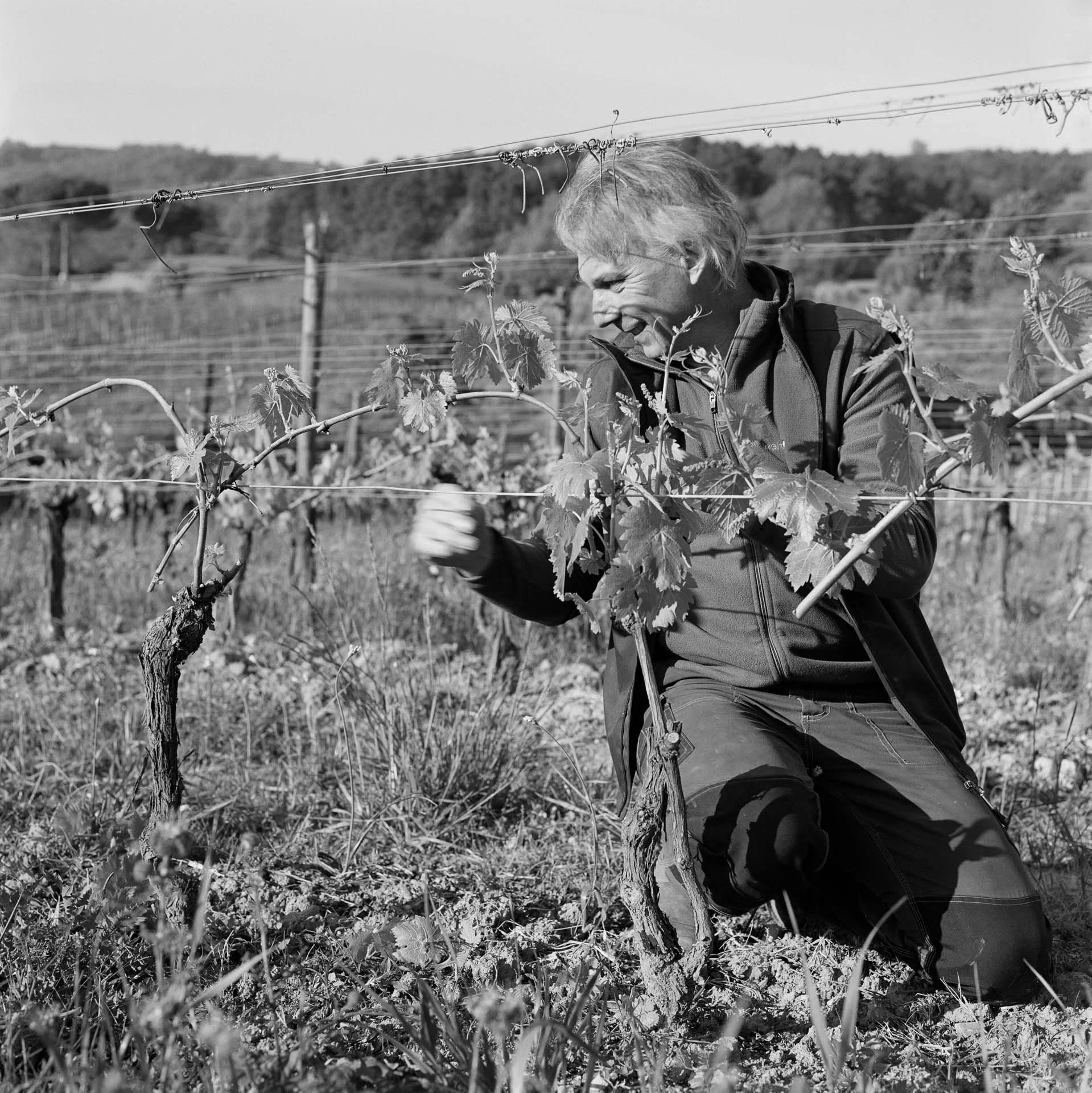 Sangiovese Primetime – Toskana-Energie für die kalte Jahreszeit