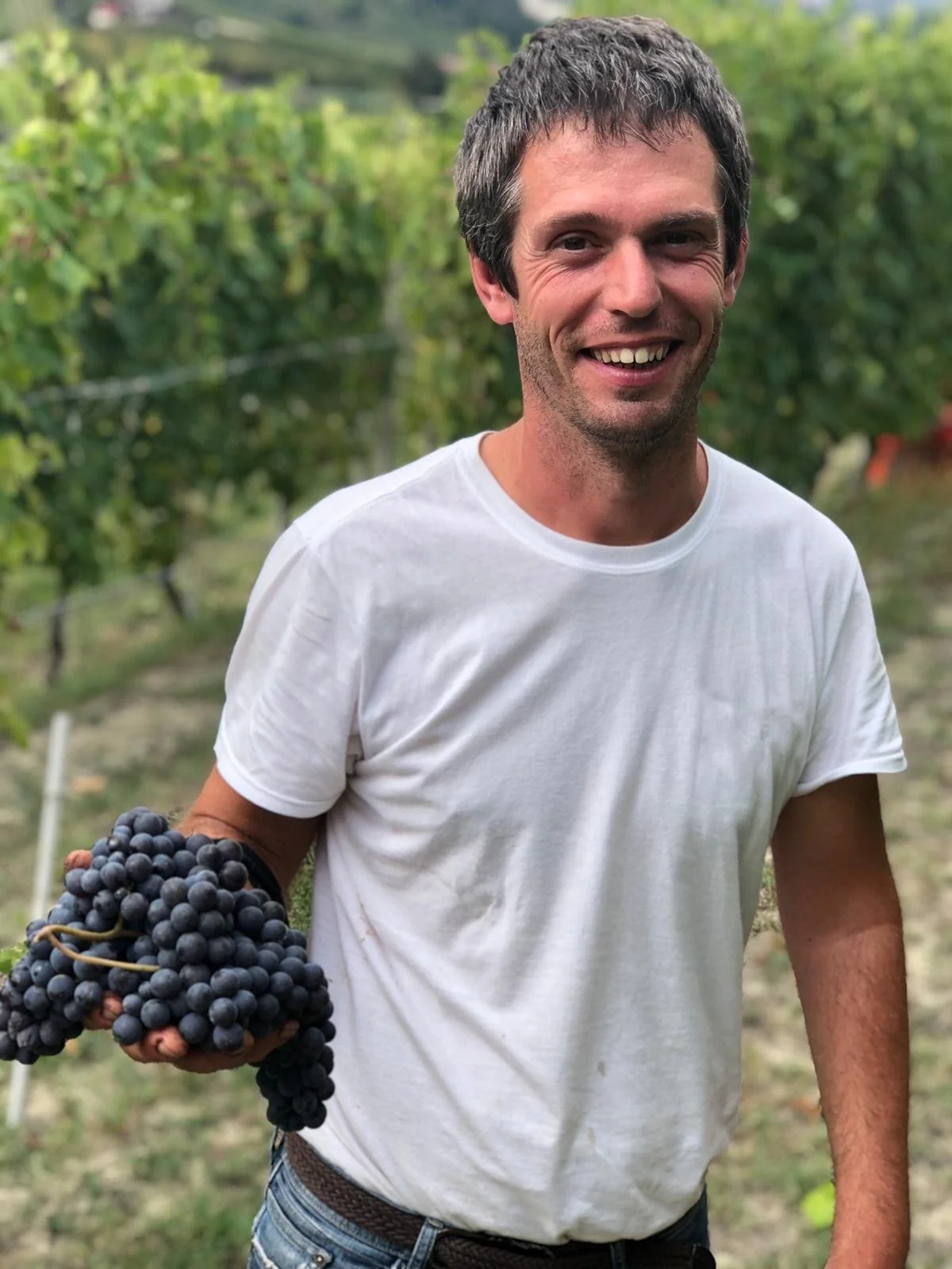 Davide Sobrino von Cascina delle Rose lächelt in die Kamera und hält eine Traube dunkler Trauben im Weinberg