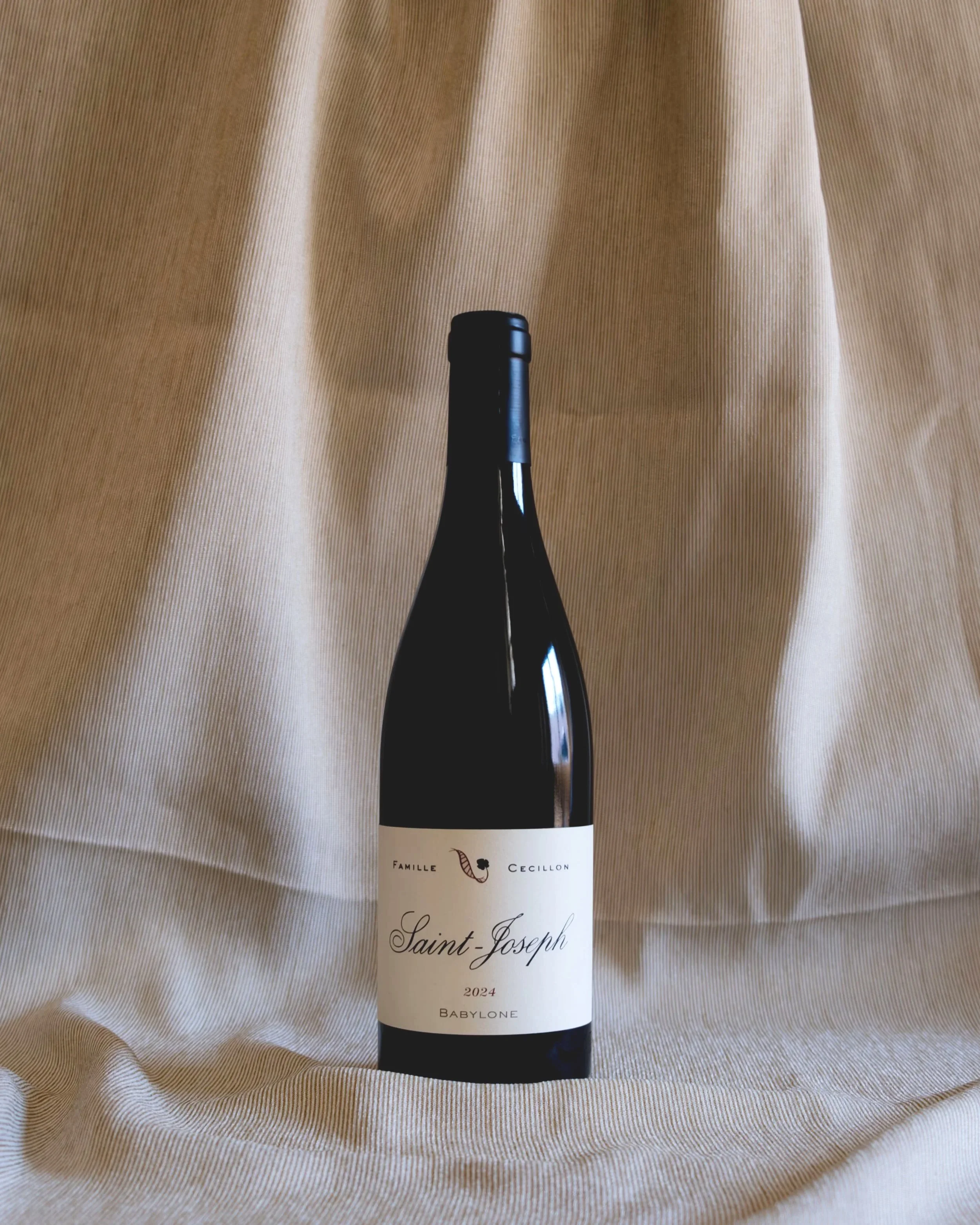 Cecillon+-+Saint-Joseph+%2522Babylone%2522+2024.jpg