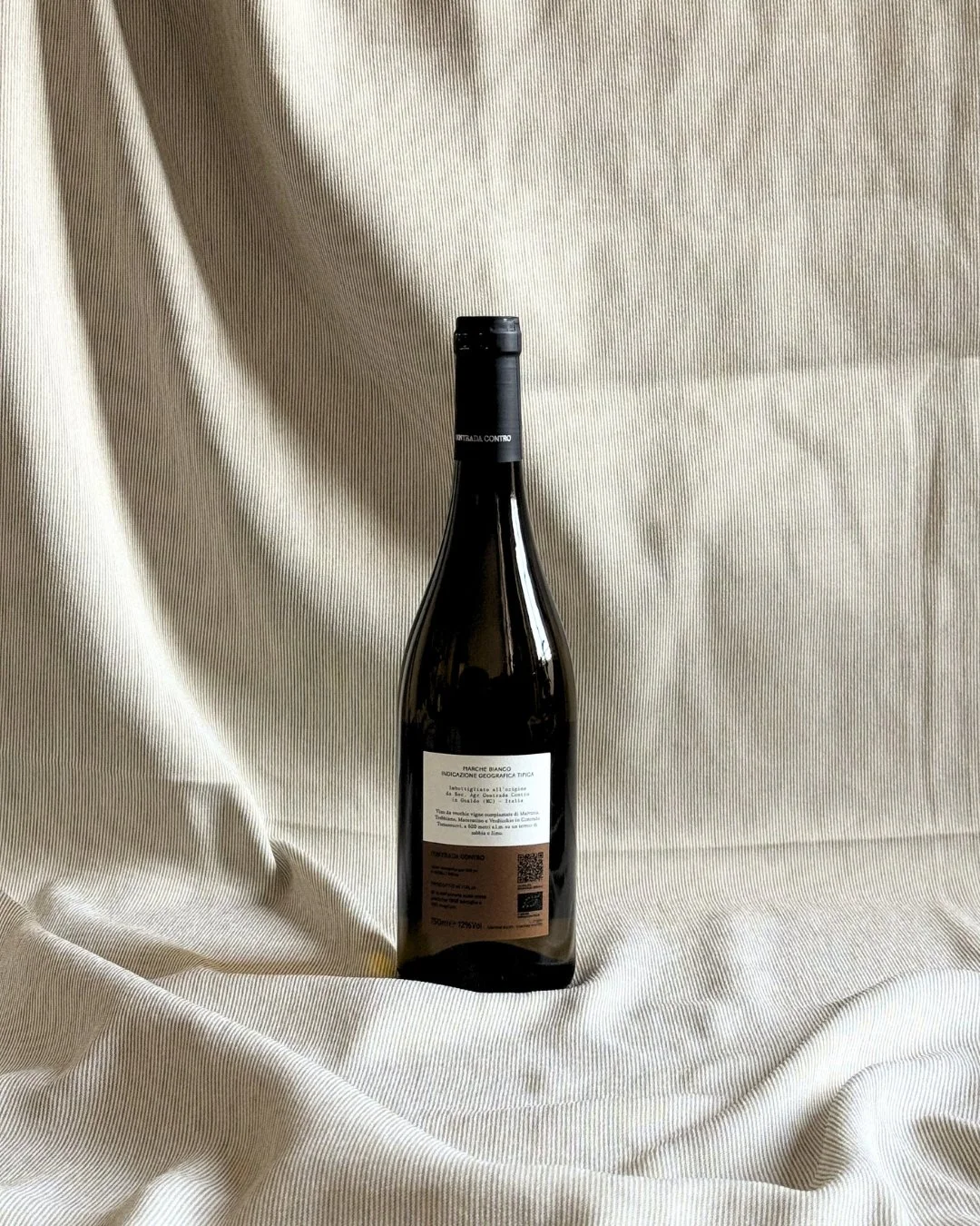 Contrada - Tomassucci 2024_1.jpg