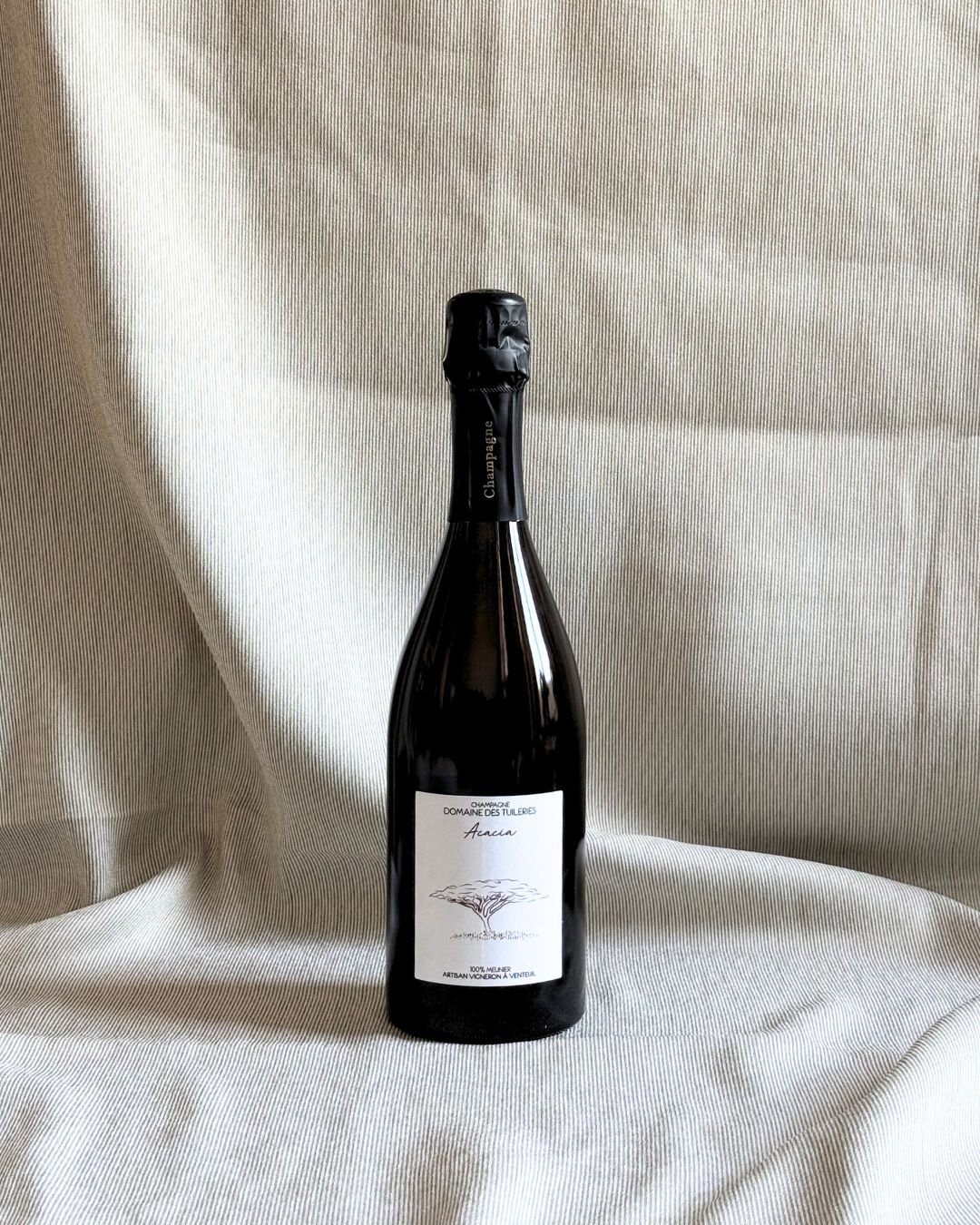 Domaine des Tuileries - Acacia.jpg