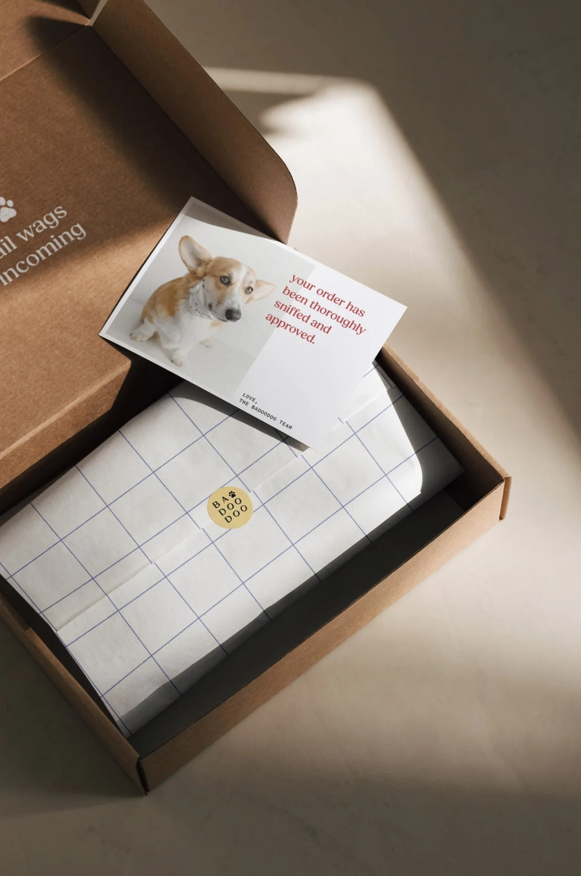 badoodoo-packaging-box-mockup.jpg