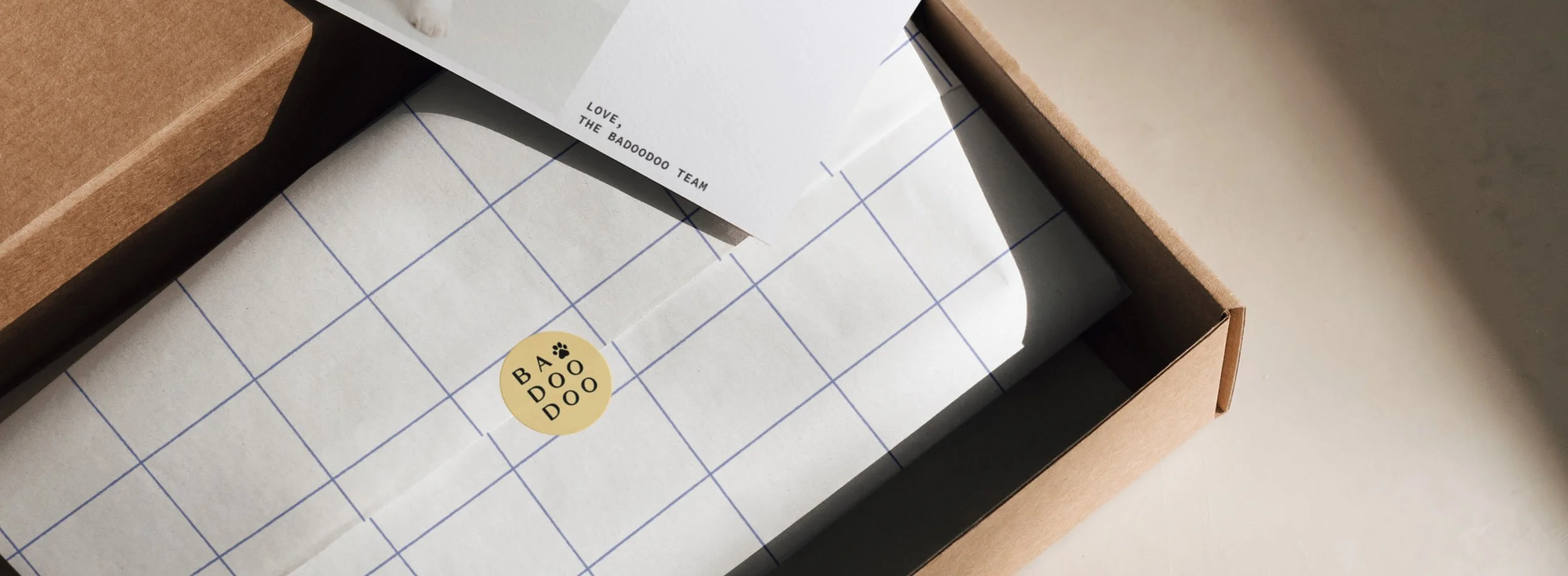 Open cardboard box containing white paper with blue grid lines, with a circular yellow sticker that says 'BADDODOO' and a small paw print, and a folded paper note with handwritten message.