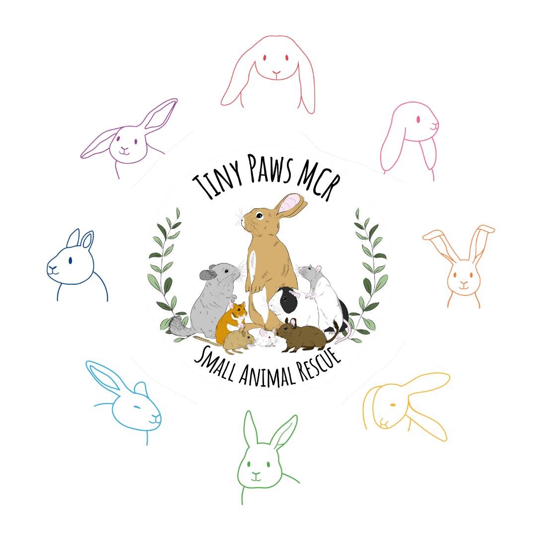 Our next rescue who will be holding a stall at the festival is Tiny Paws MCR! A home-based, vegan-run, small animal rescue and registered charity set up in early 2019. They rescue rodents and rabbits in the Manchester area, and find them forever home