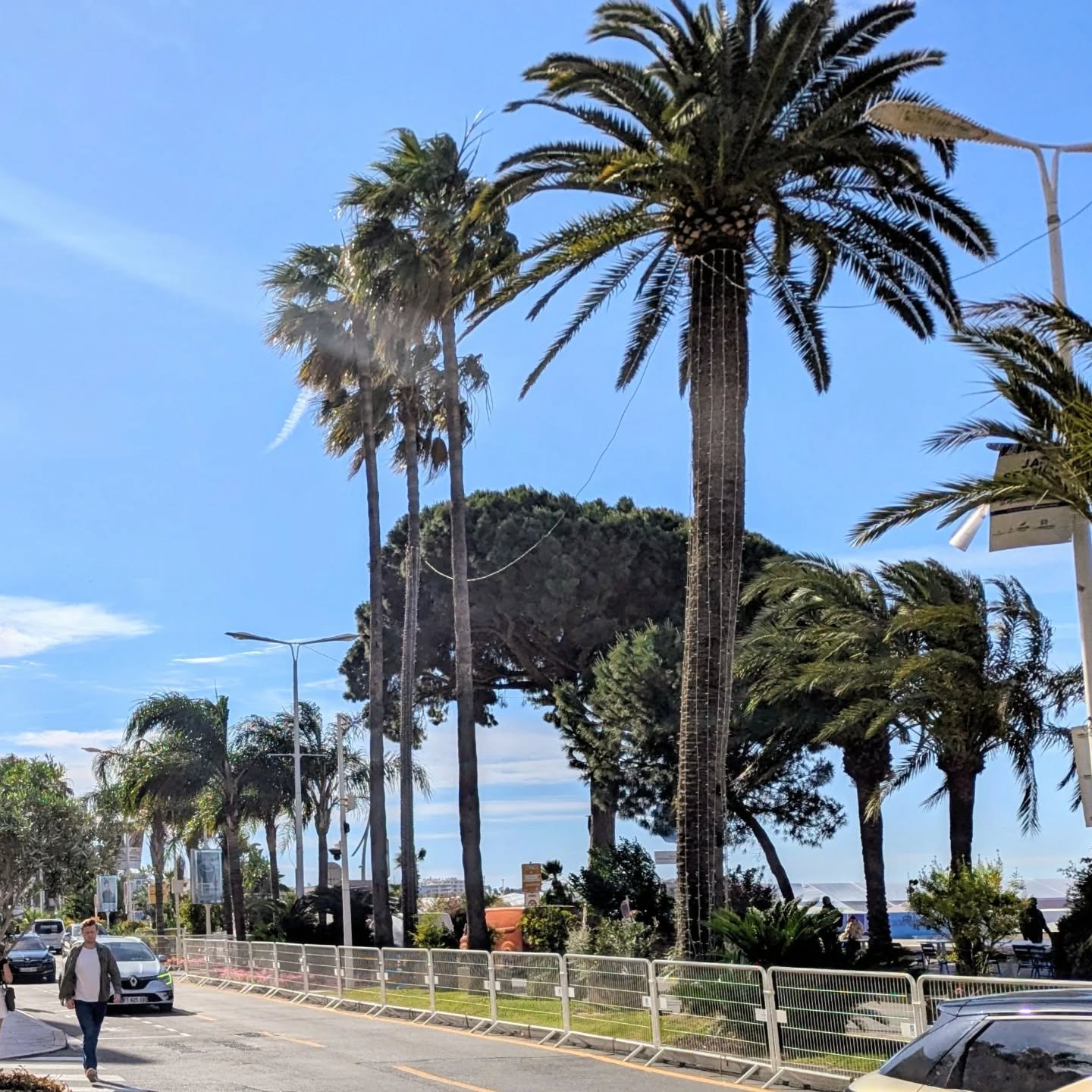 One of the team was away for the Cannes Film Festival this week - looks like the weather is nicer than London. Idea for a tour next year? #cotedazur #notasglamourousasyouthink