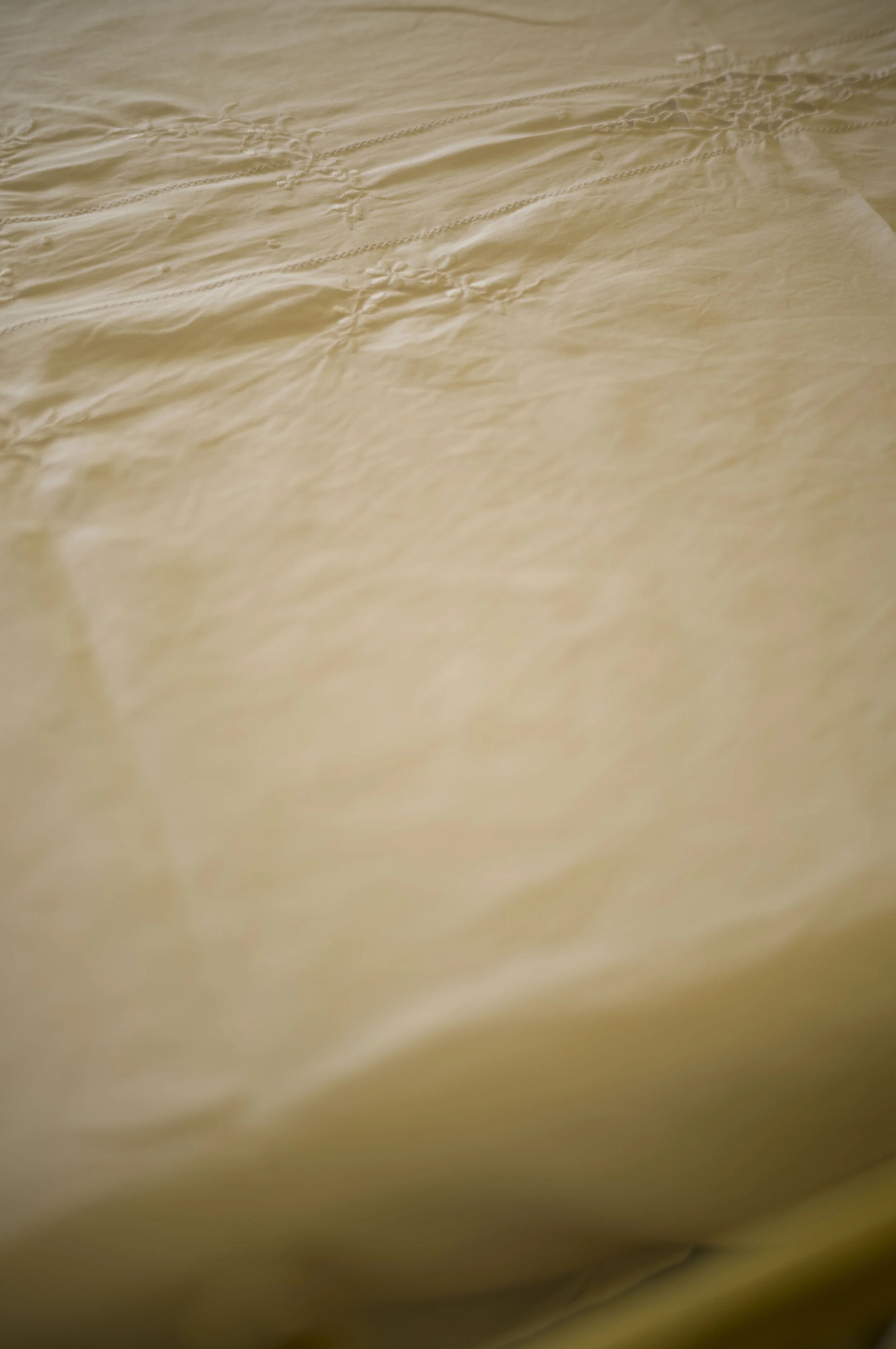 L1000954.jpg