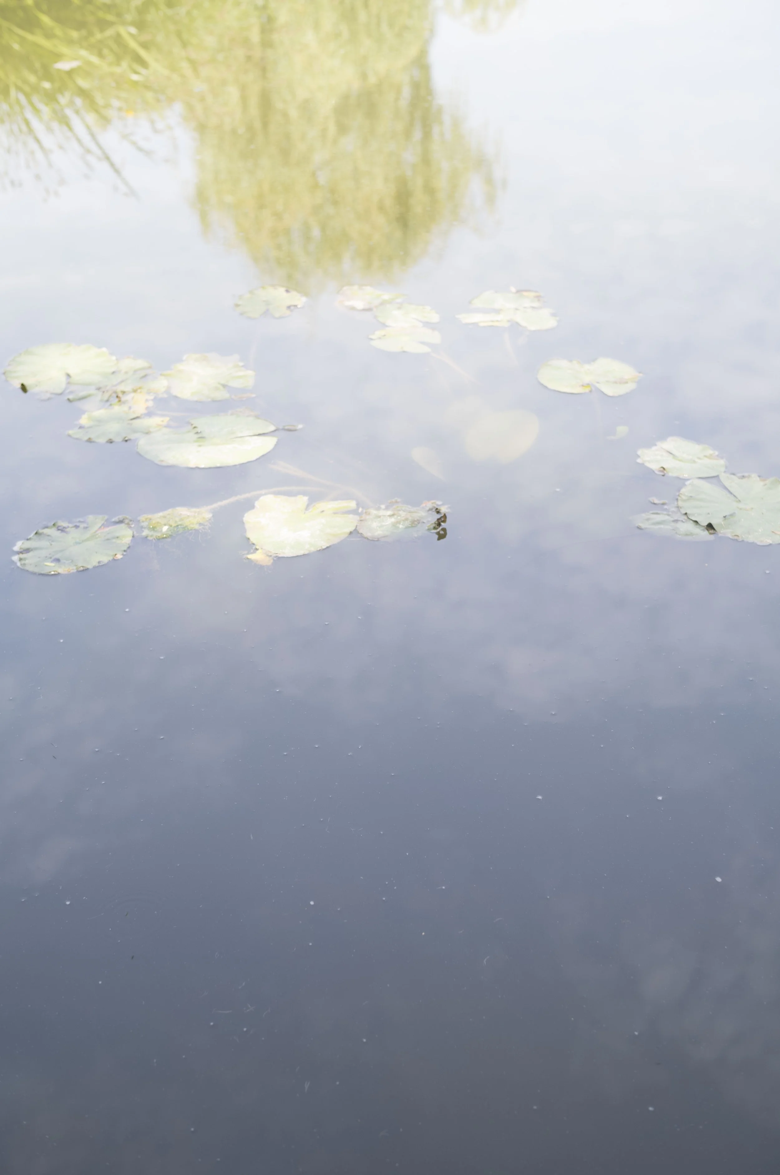 L1001032.jpg