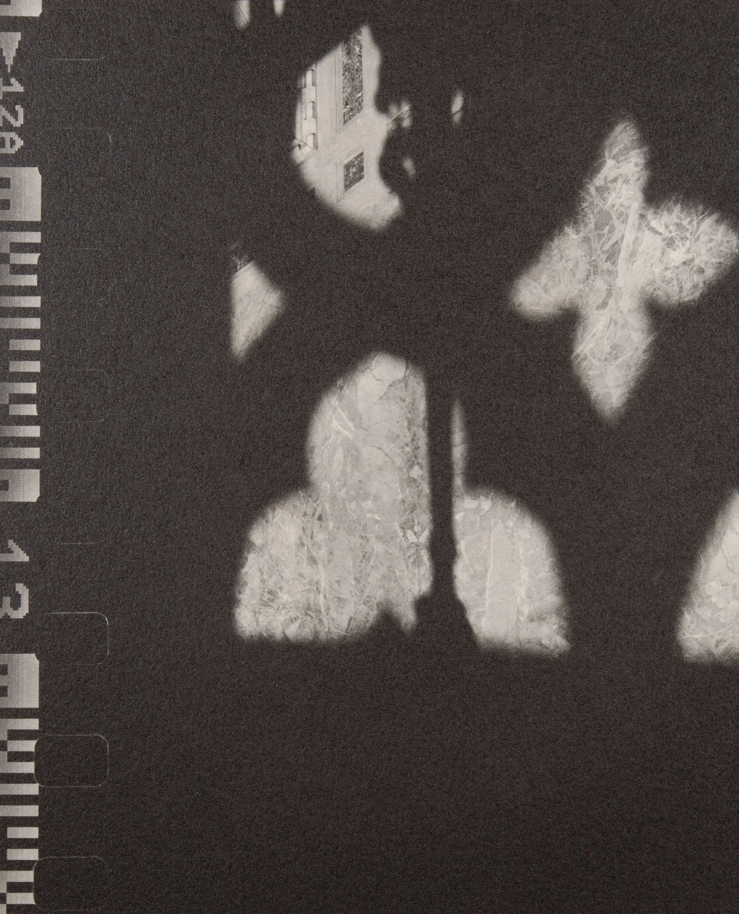 DSC_5525.jpeg