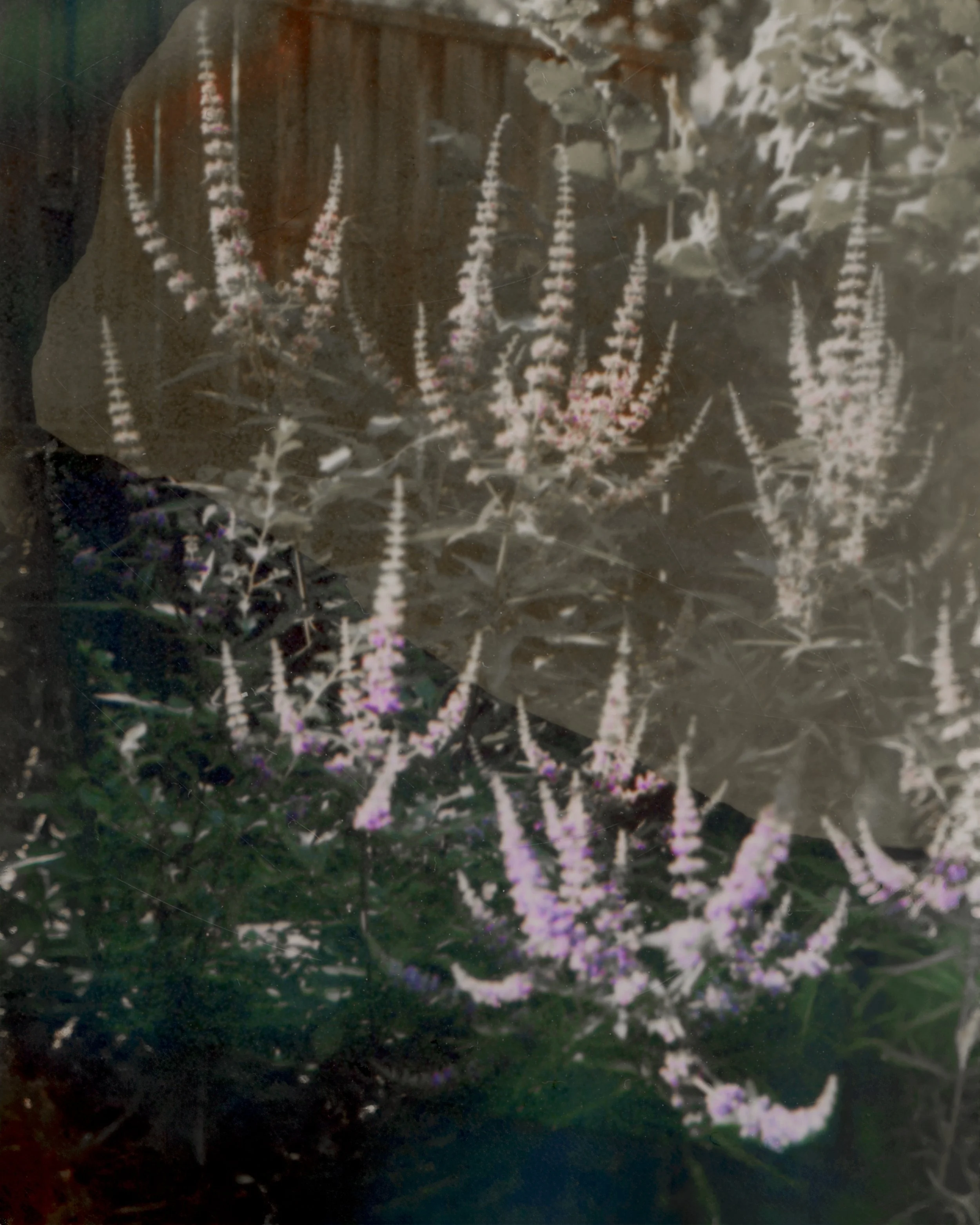 SCN_20260708_110724.jpeg