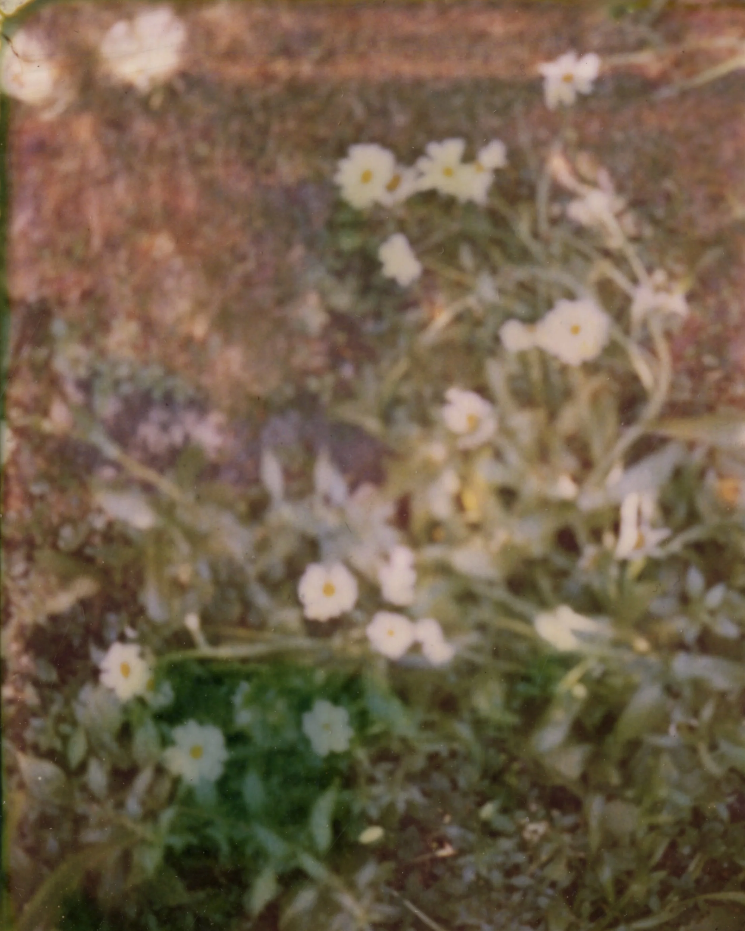 SCN_20260704_094022.jpeg