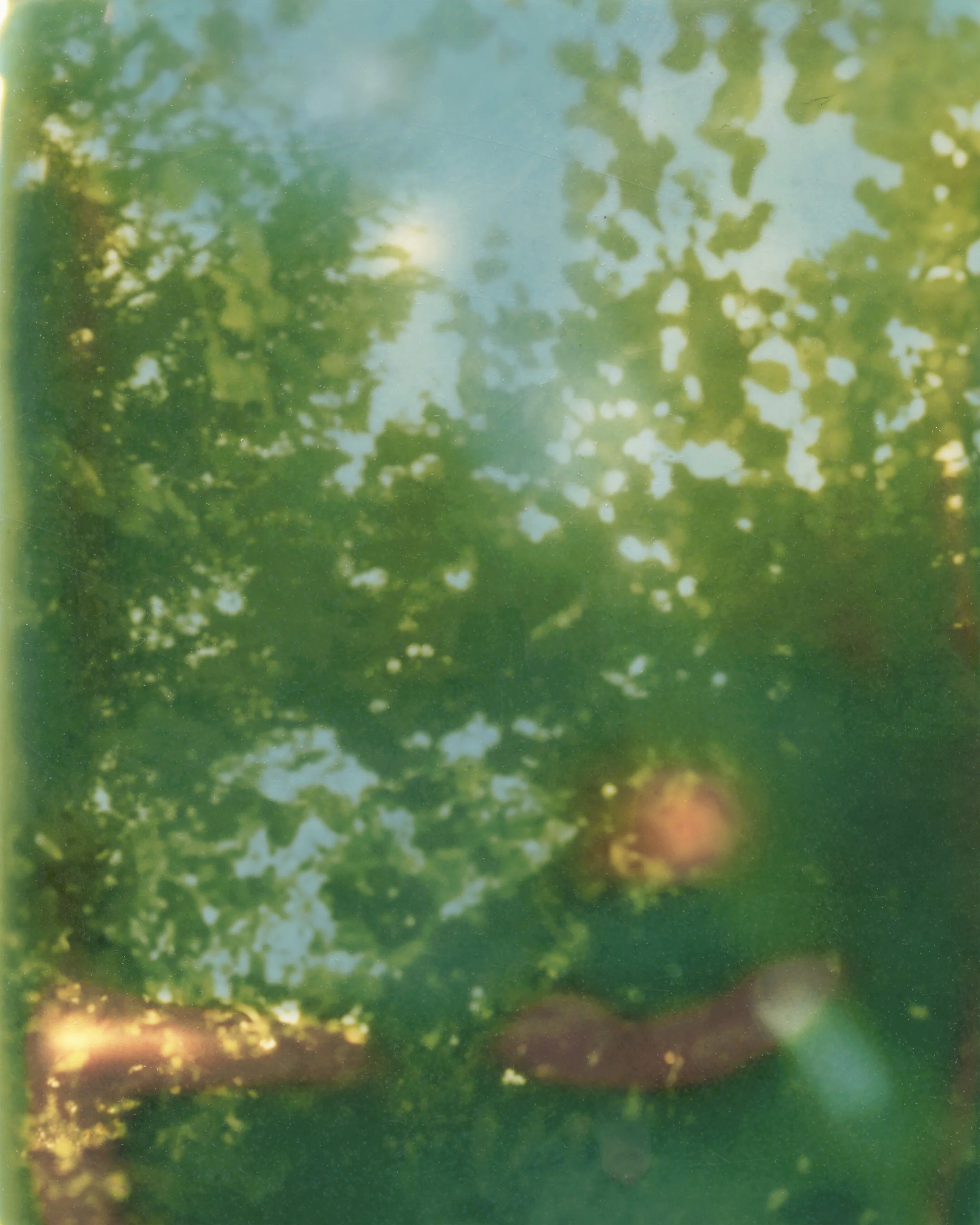 SCN_20260725_114100.jpeg