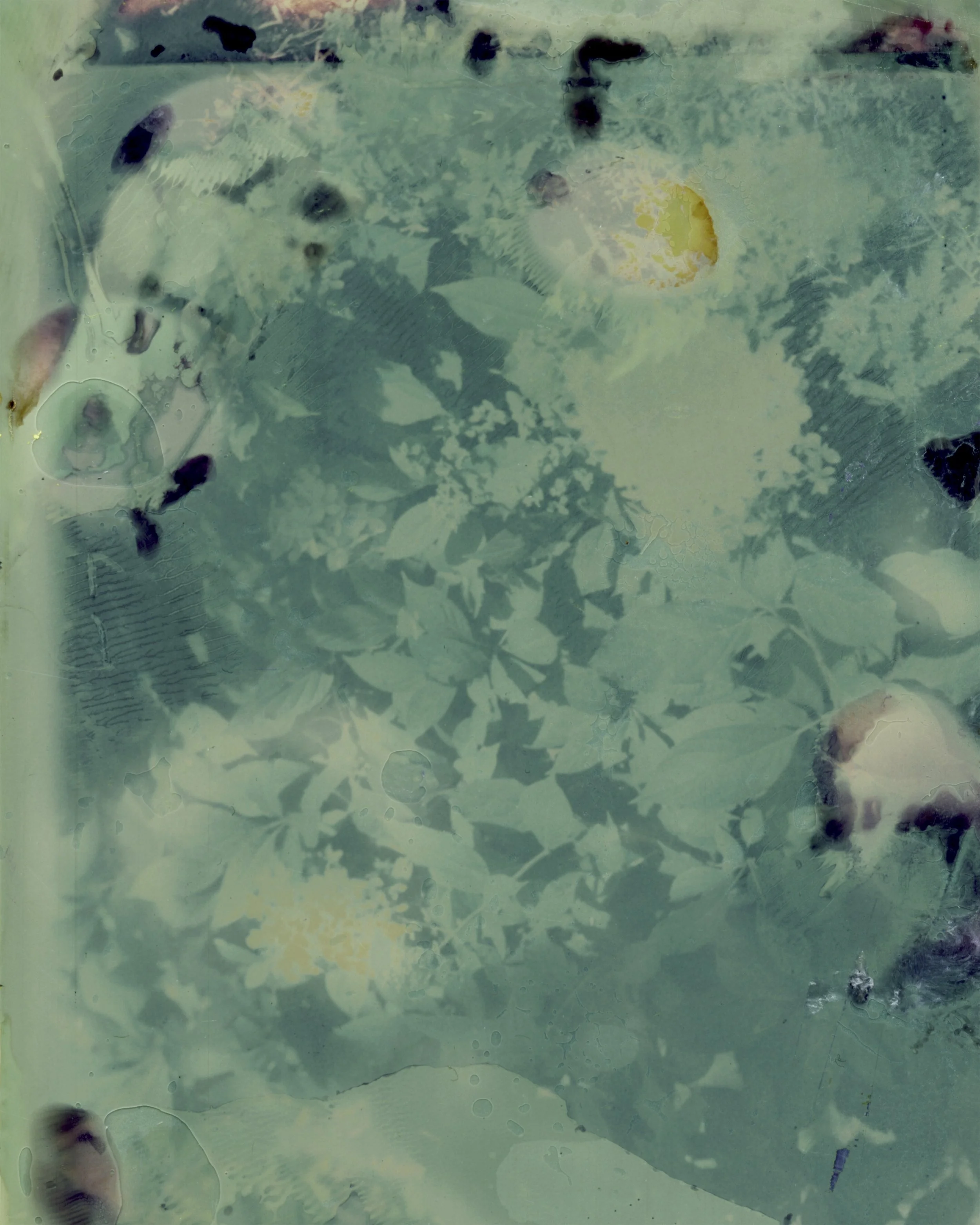SCN_20260725_114101.jpeg