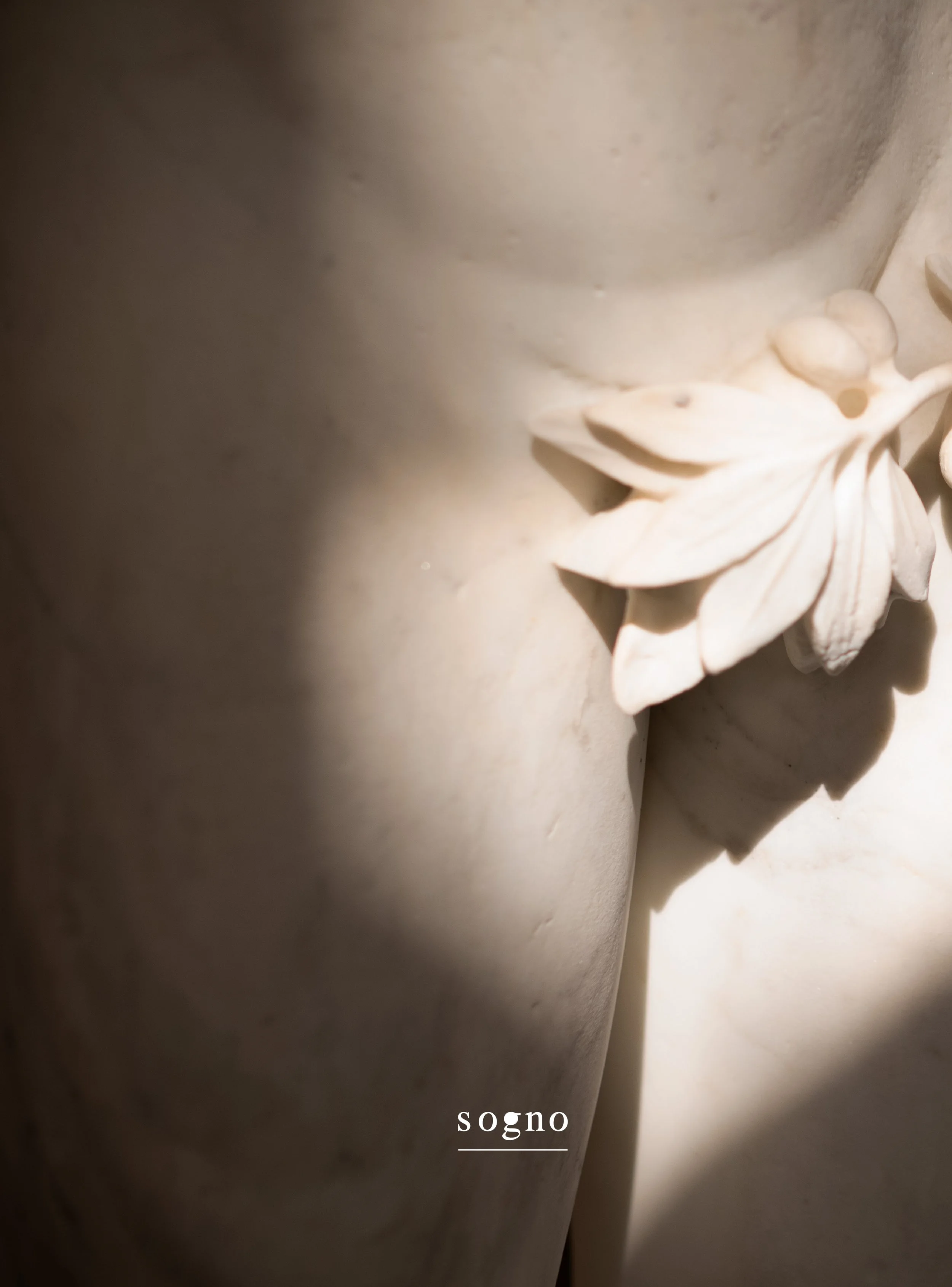 DOLCI _ AVEC ÉTUI + TIRAGE SIGNÉ