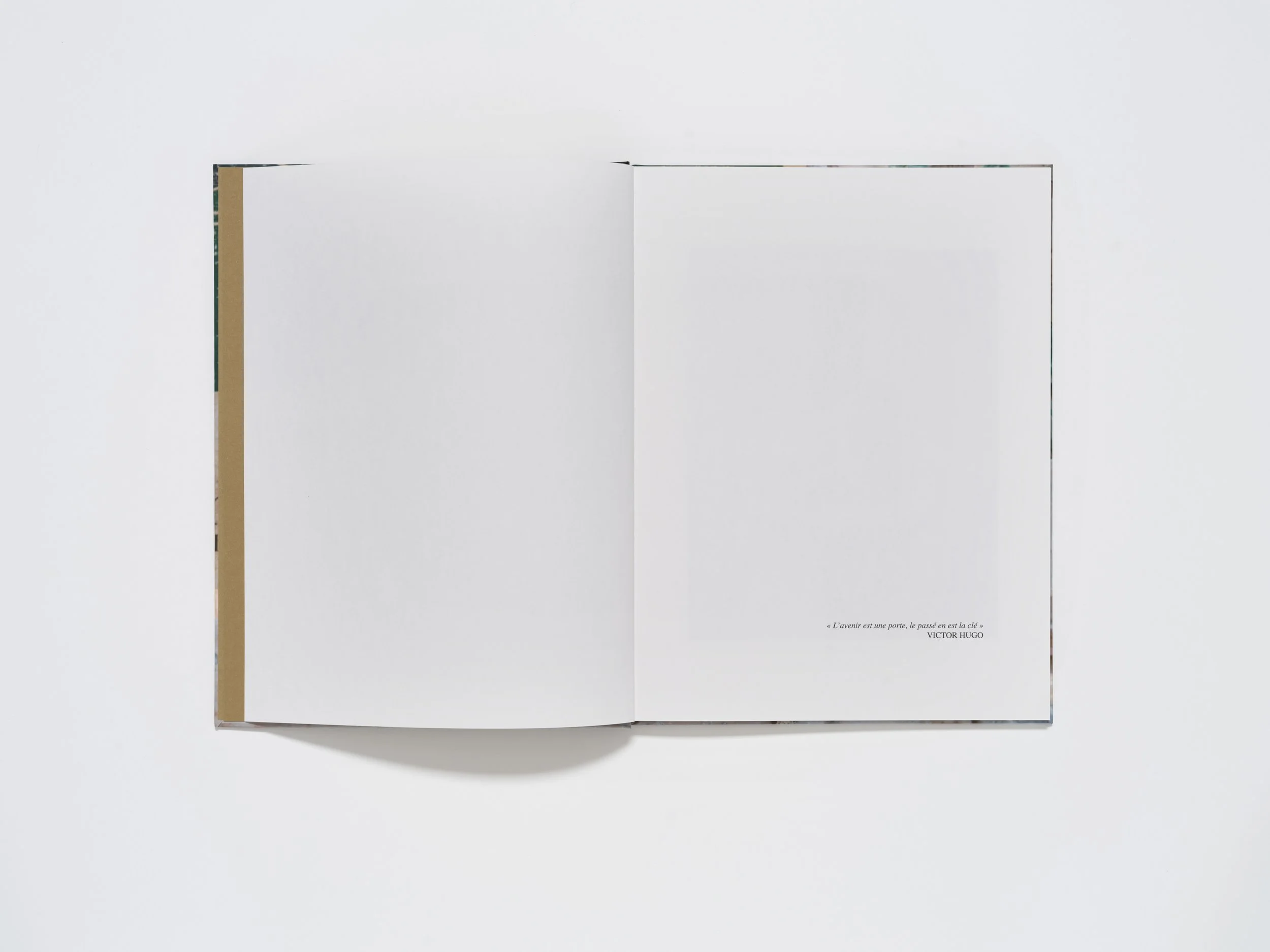 Sognostudio Pierre Douce_05.jpg