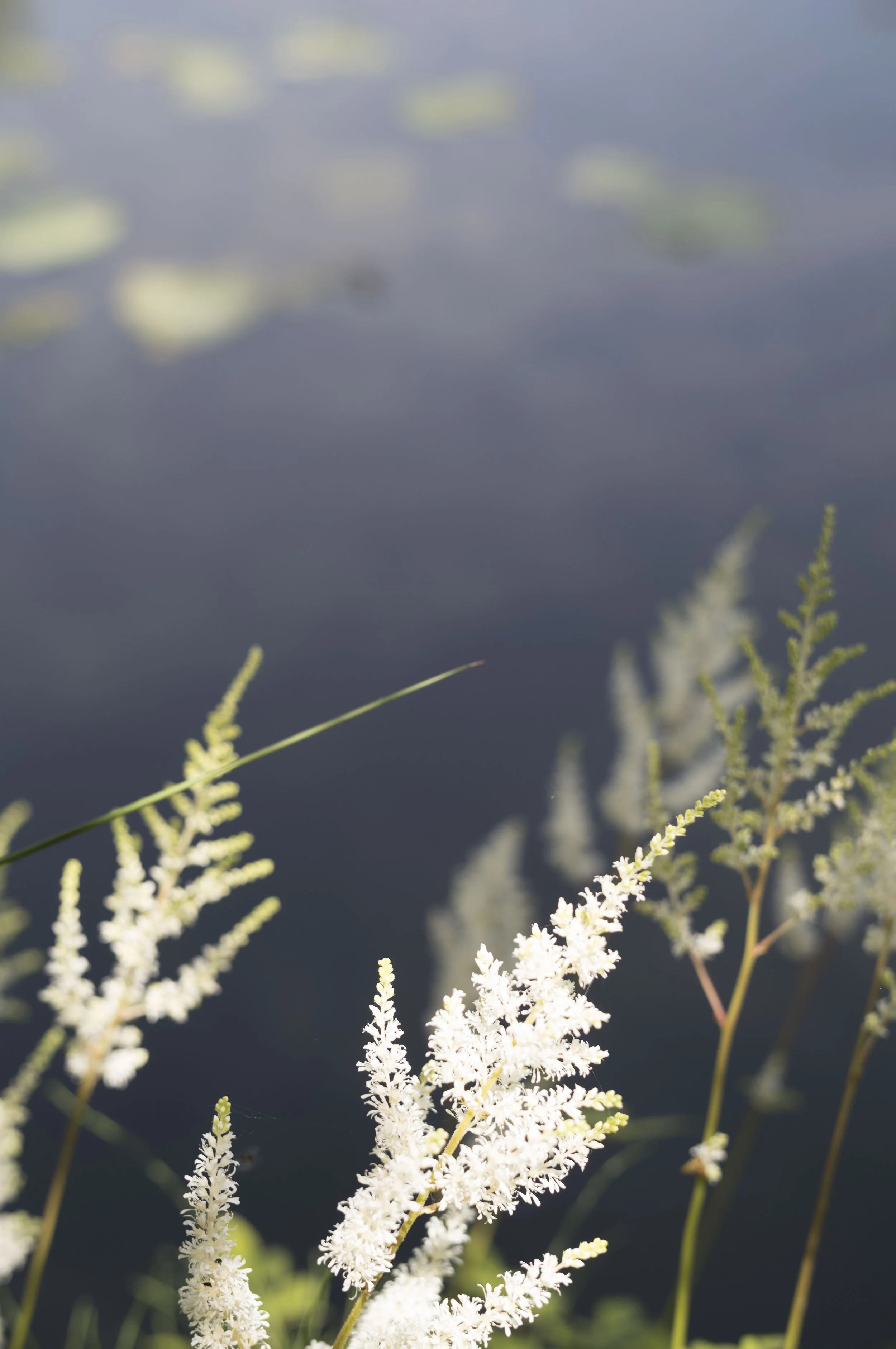 L1001030.jpg