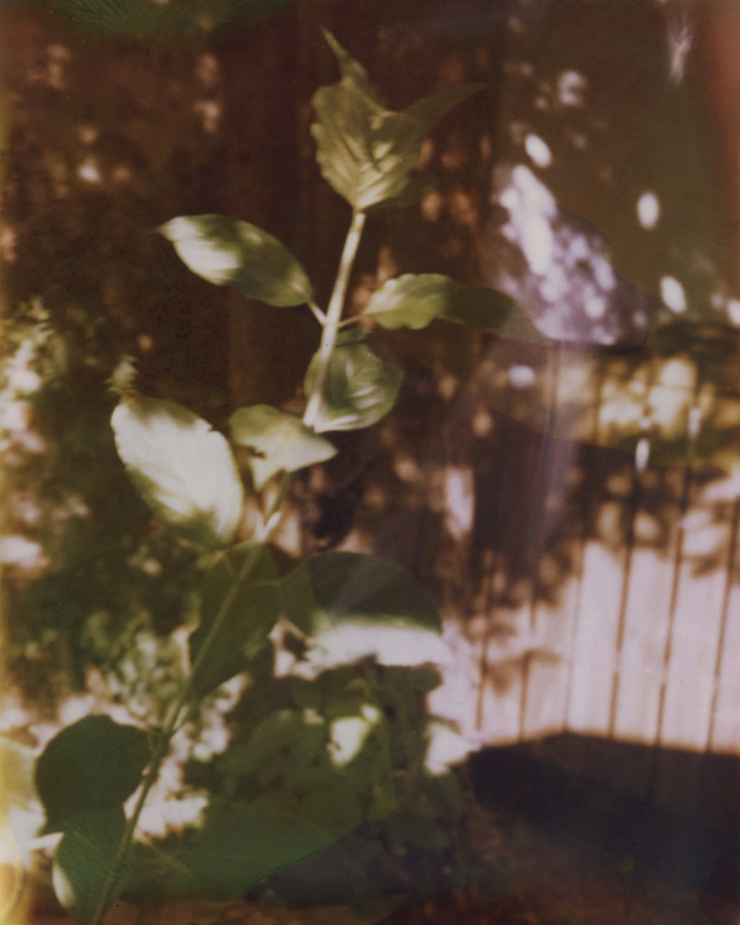 SCN_20260704_105157.jpeg