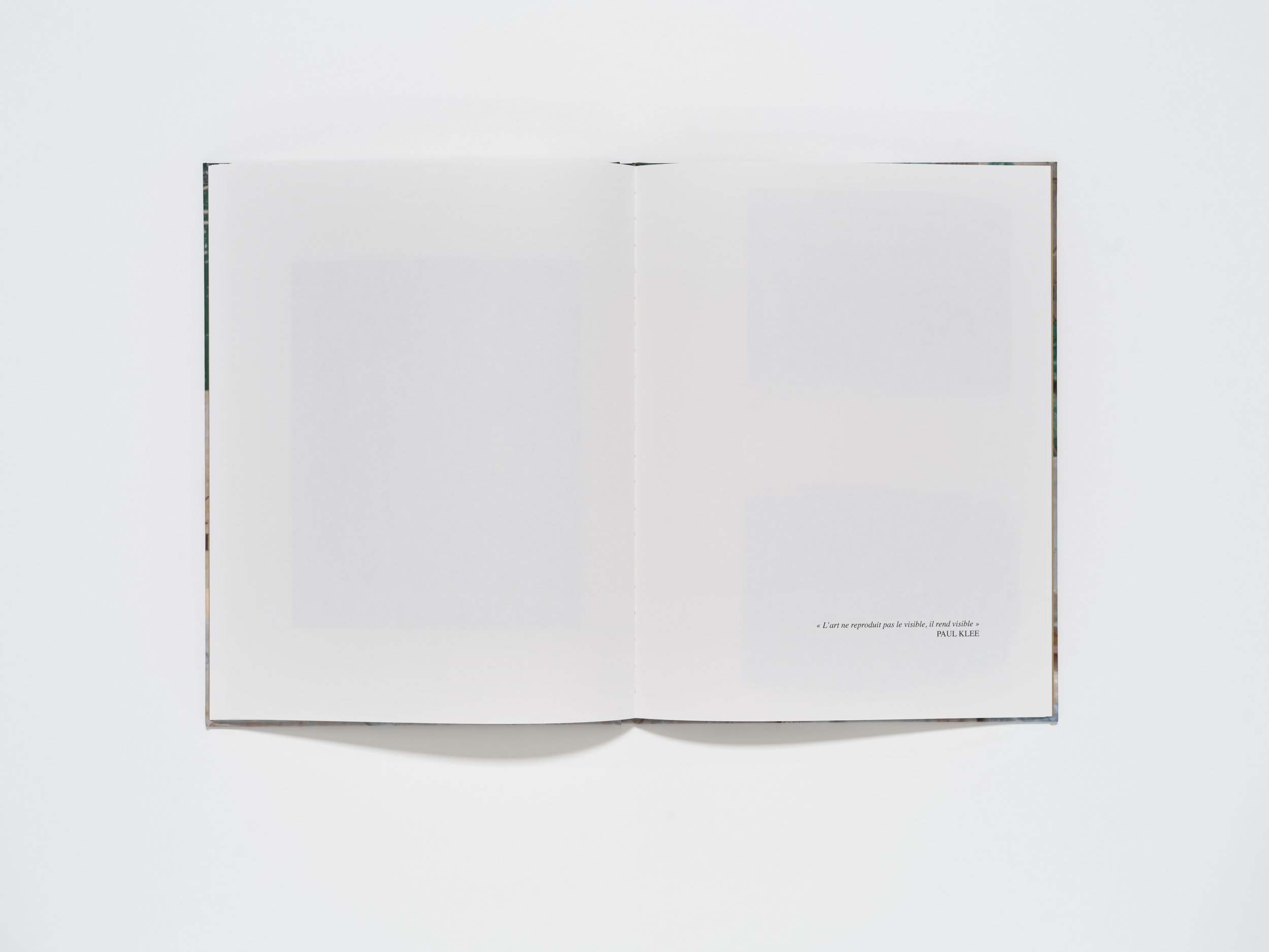 Sognostudio Pierre Douce_23.jpg