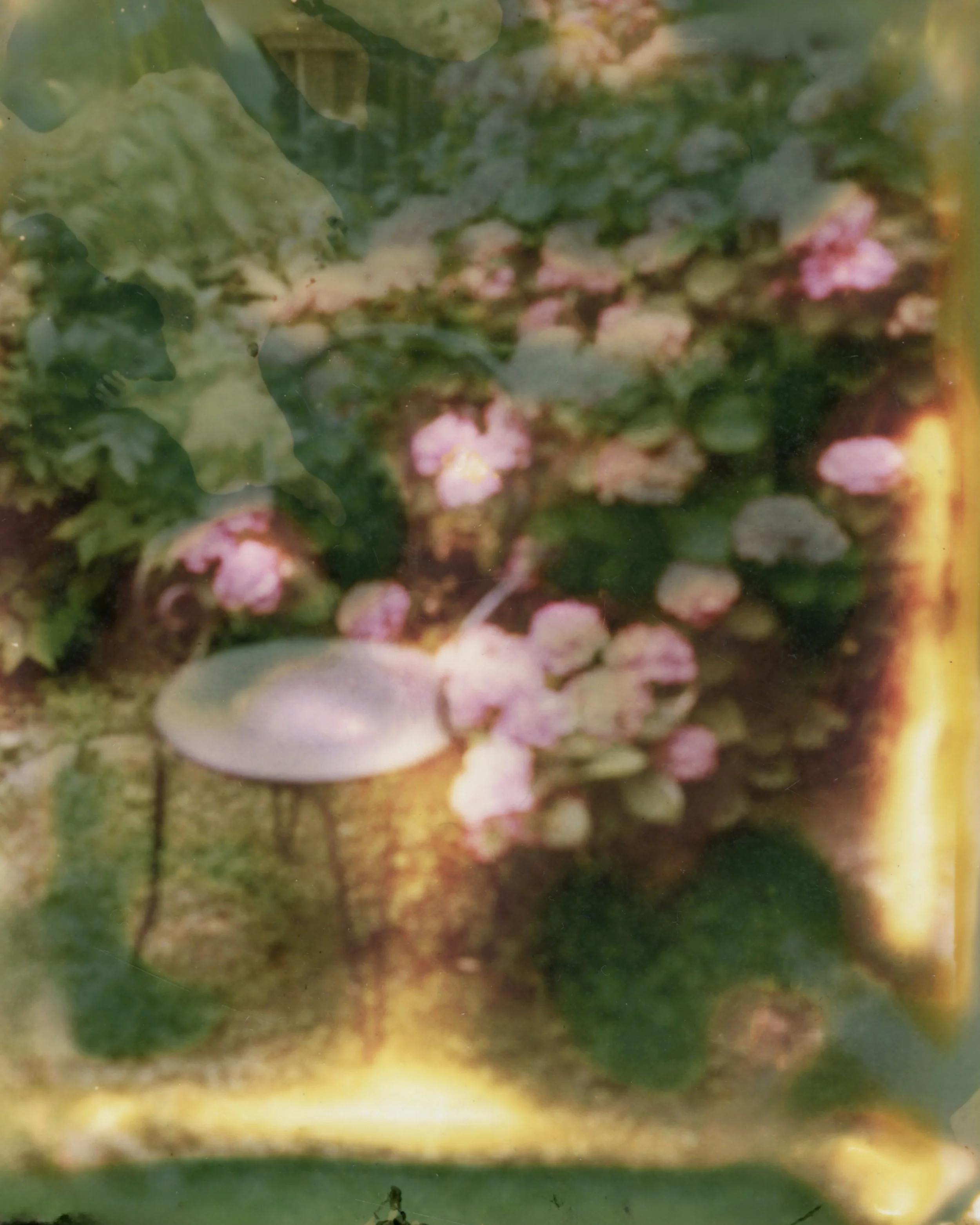SCN_20260703_165208.jpeg