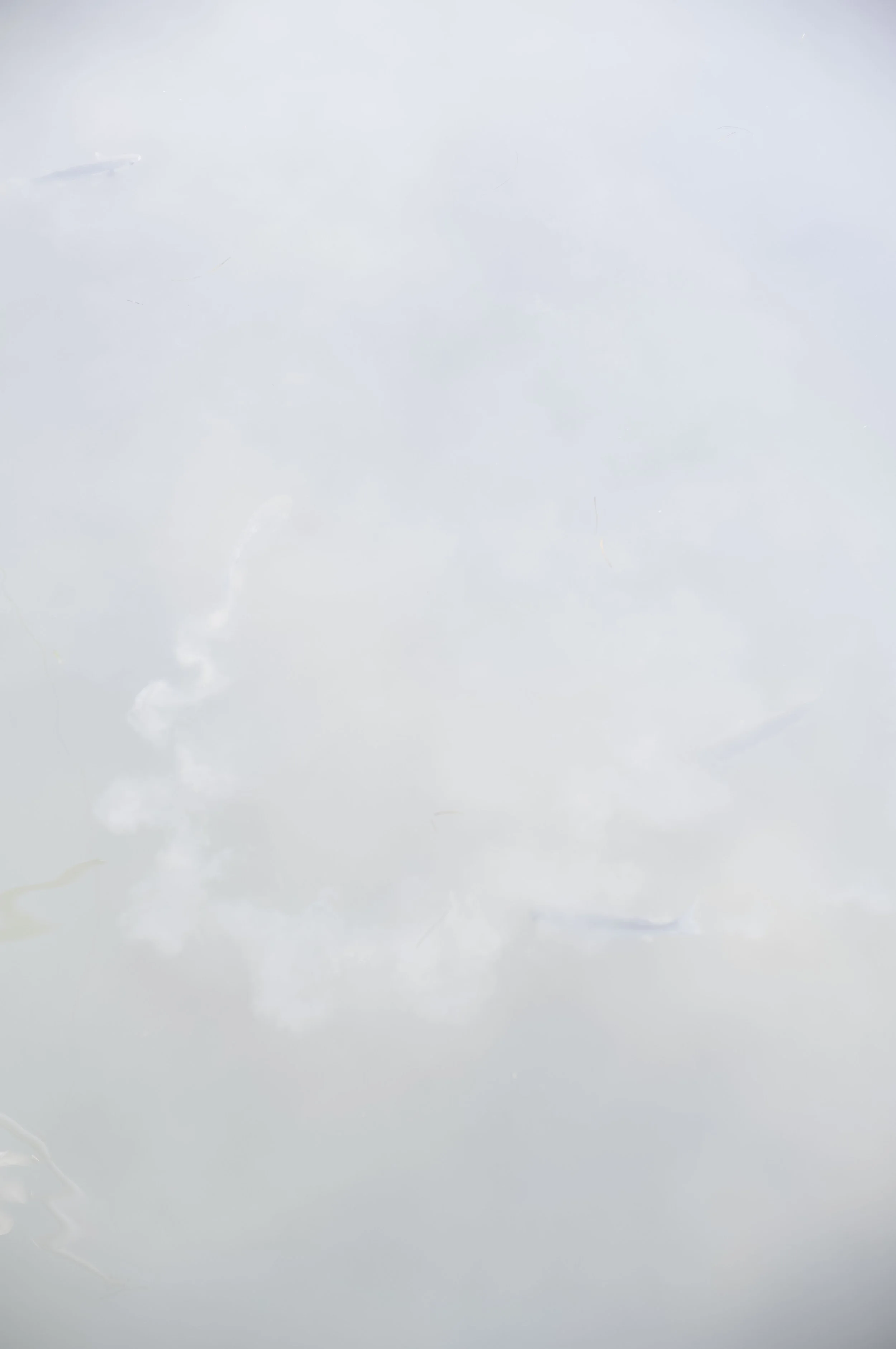 L1001073.jpg
