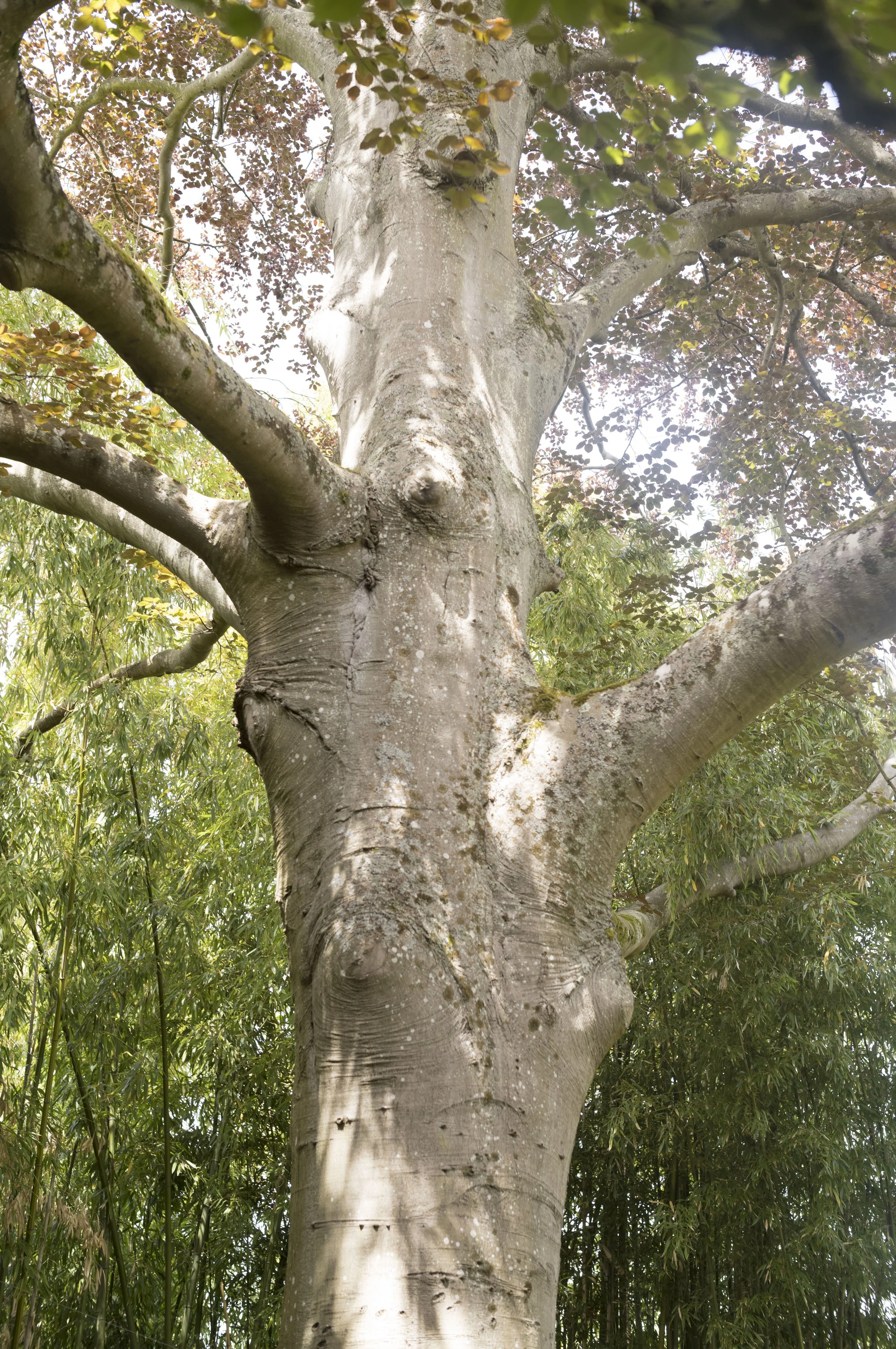 L1001024.jpg