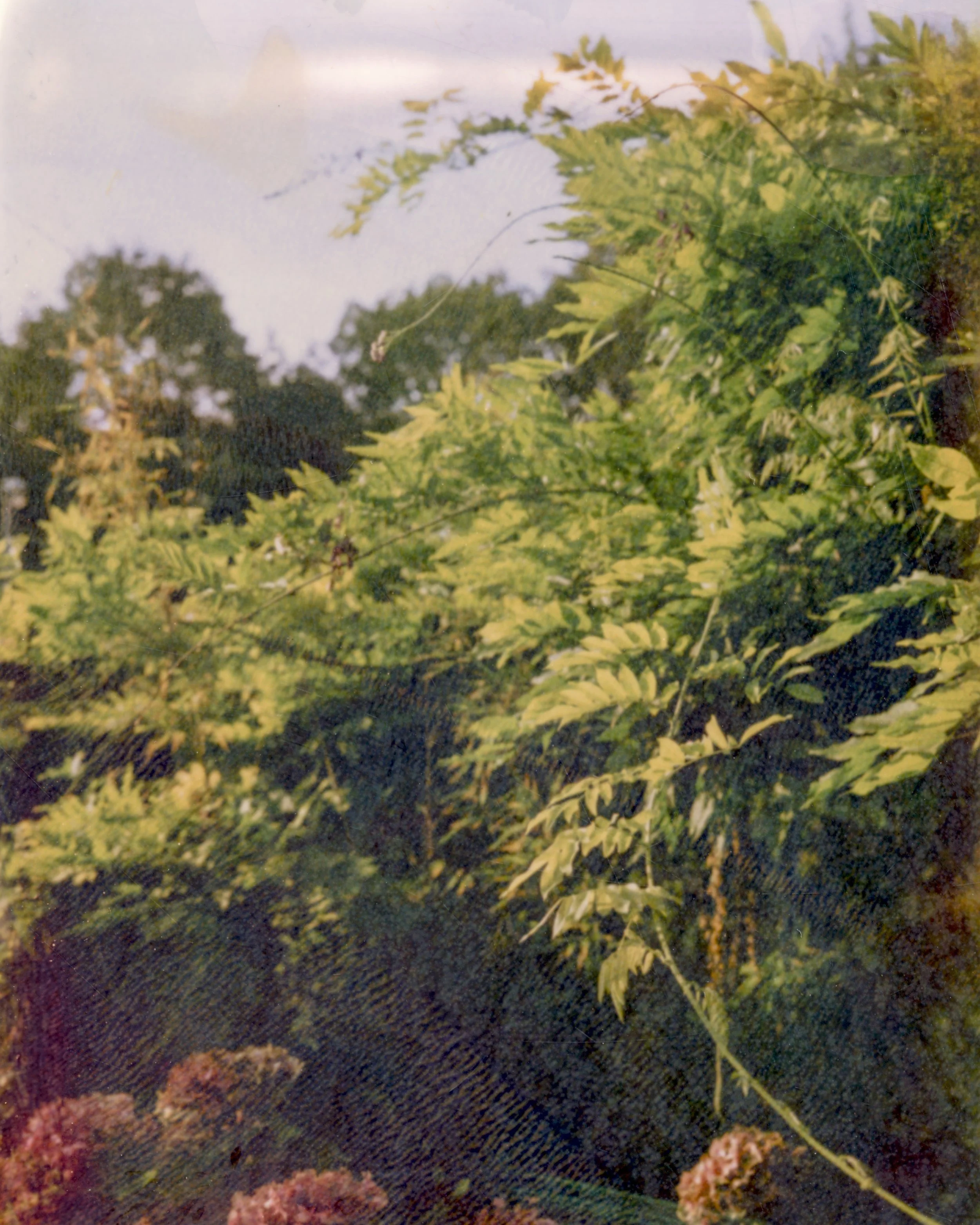 SCN_20260717_113317.jpeg