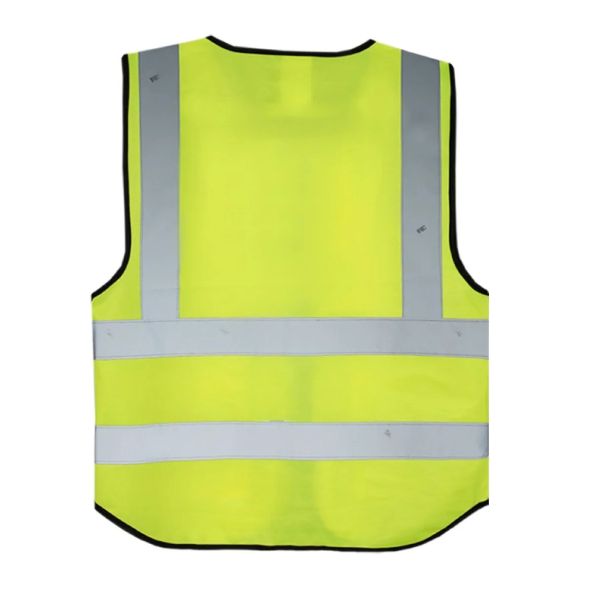 10907_Adult_Back.jpg