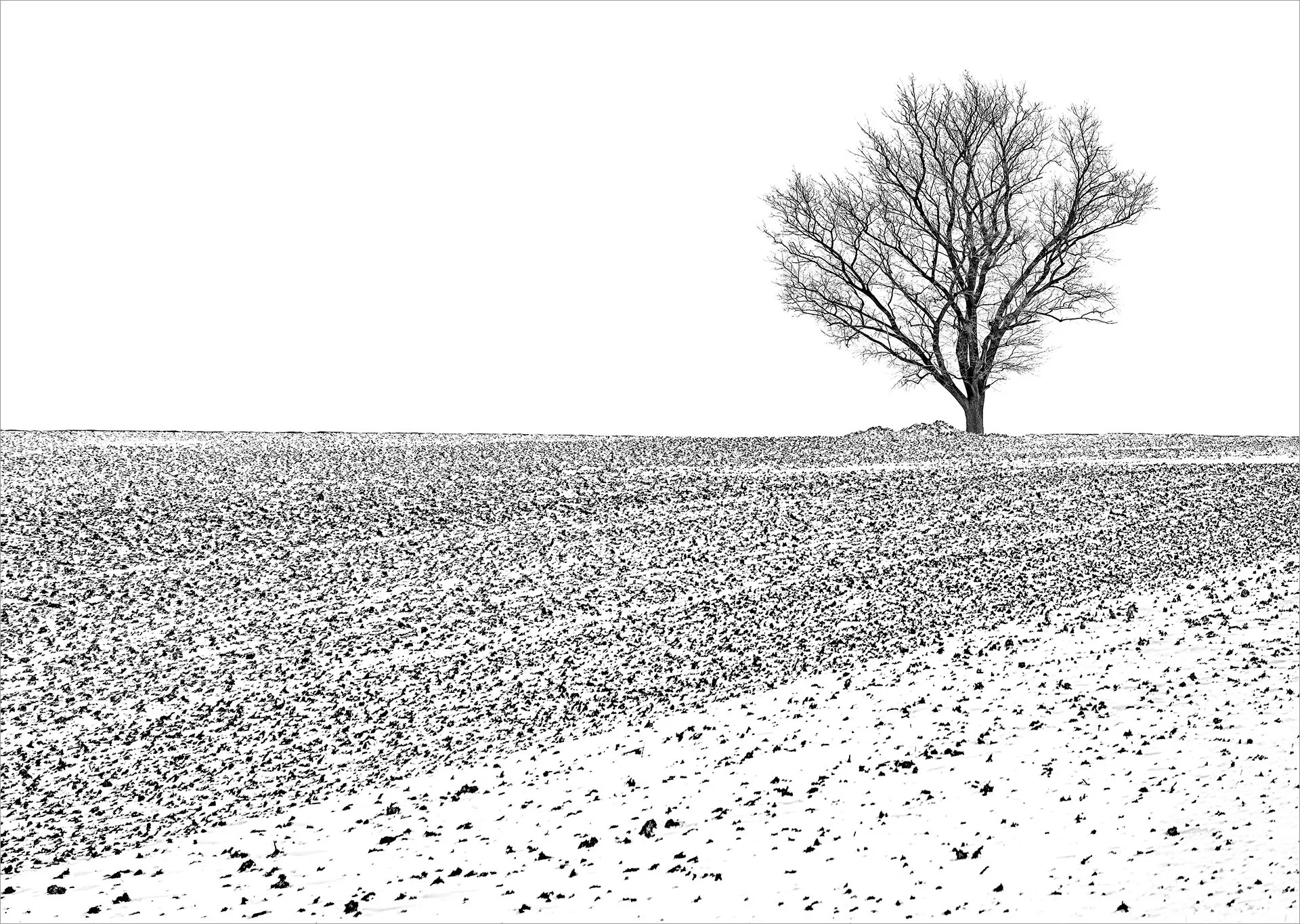 Fortitude  (KBG23644)