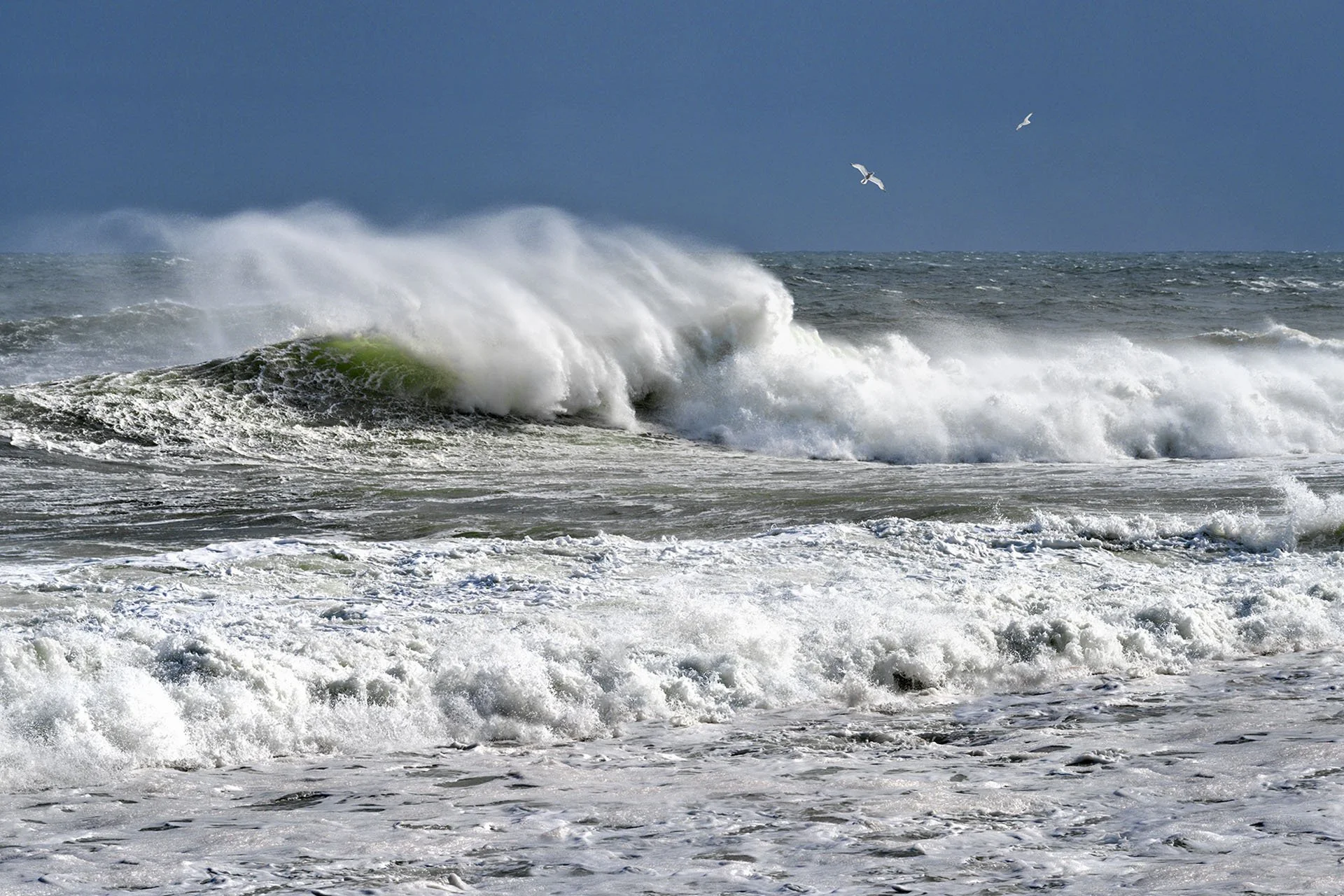 Nautilus Rising (KBG01685)