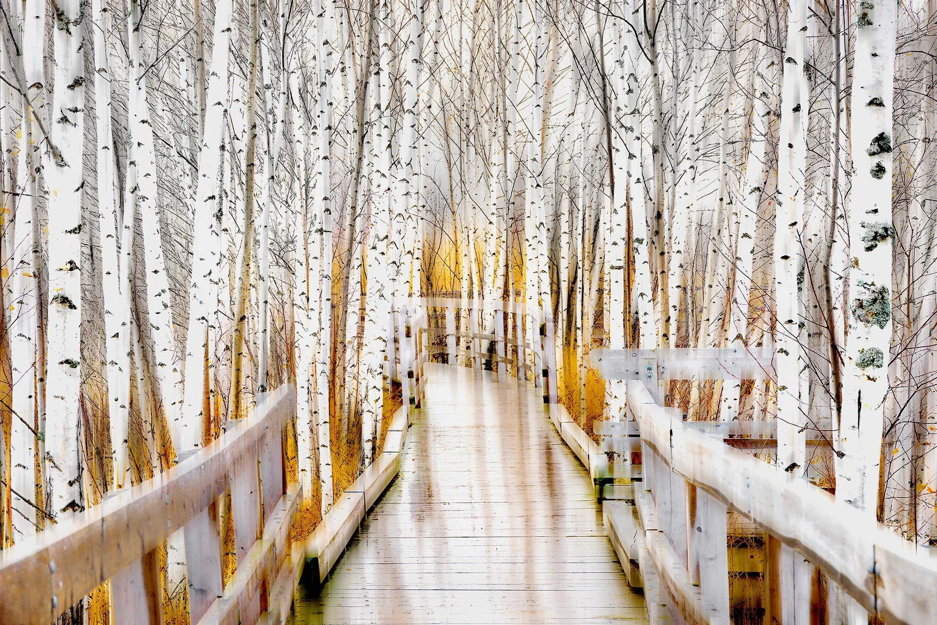 Gallery — Kas Stone Photographic Art