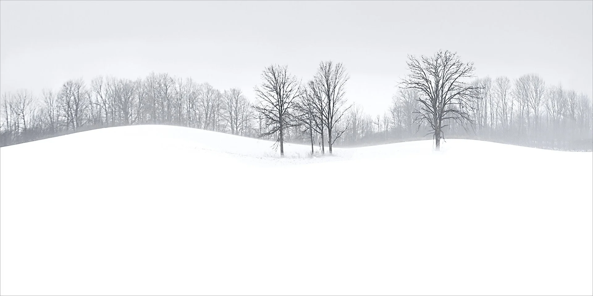 The Topography of Silence  (KBG37031)